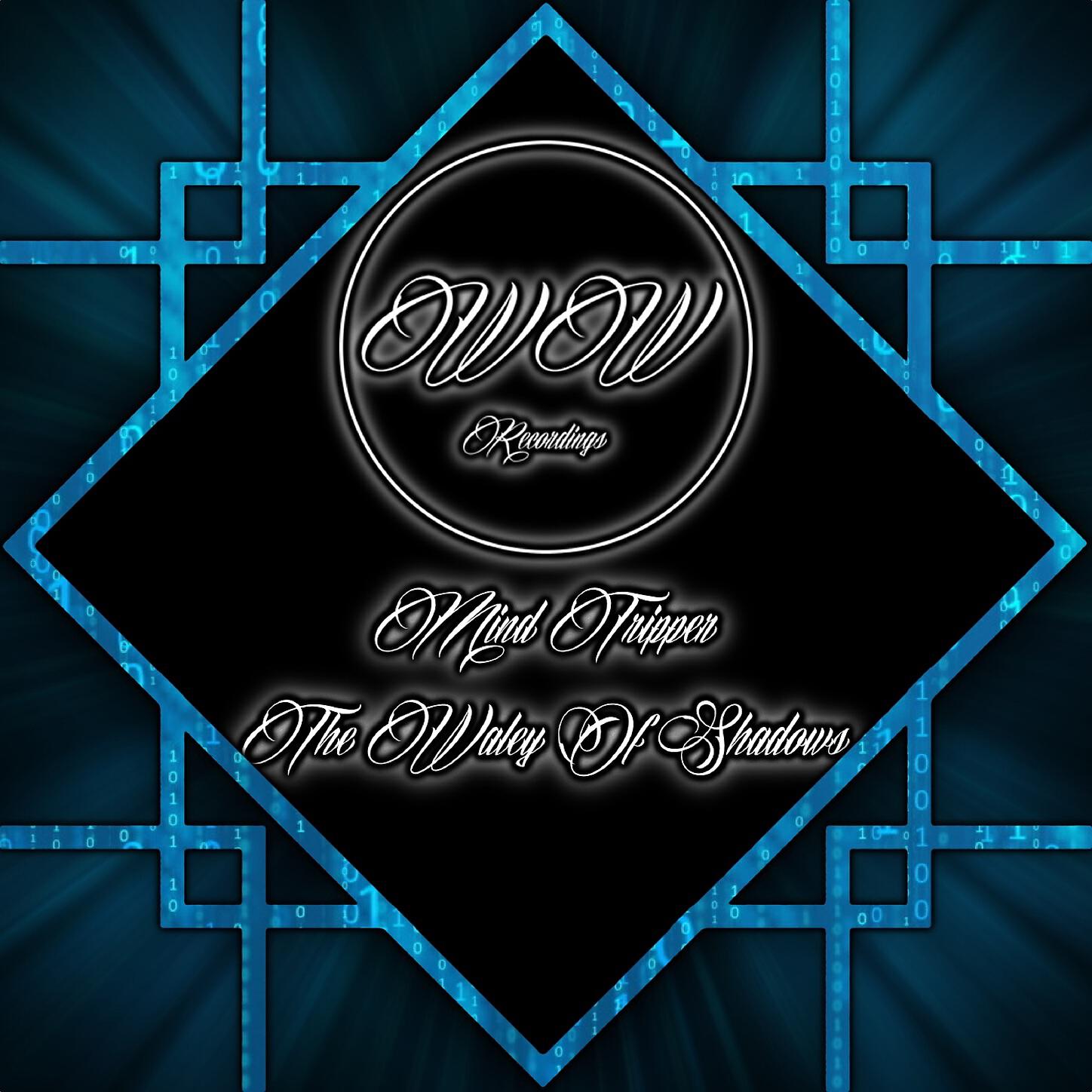 Mind Tripper - Deep Drive Original Mix