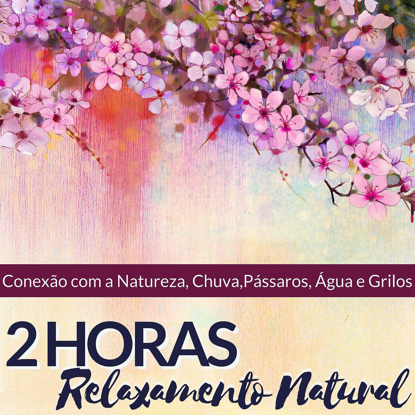 Maria Ivone - Vibrações Positivas
