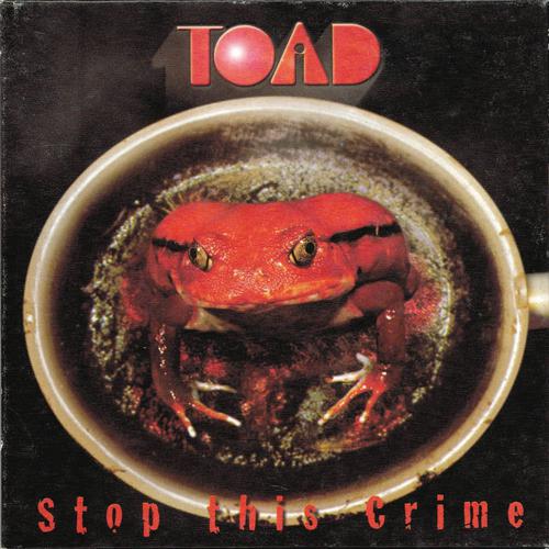 Постер альбома Stop This Crime