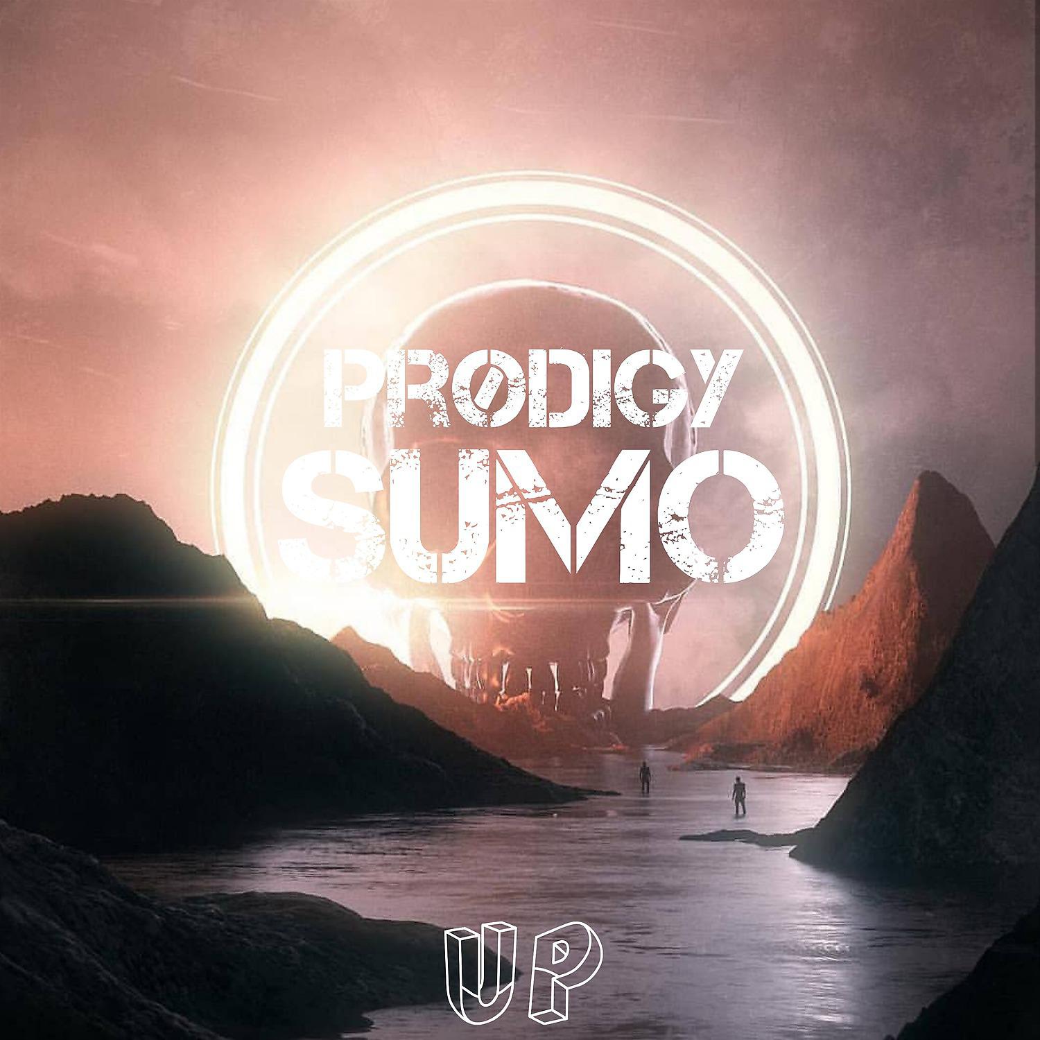 Постер альбома Sumo