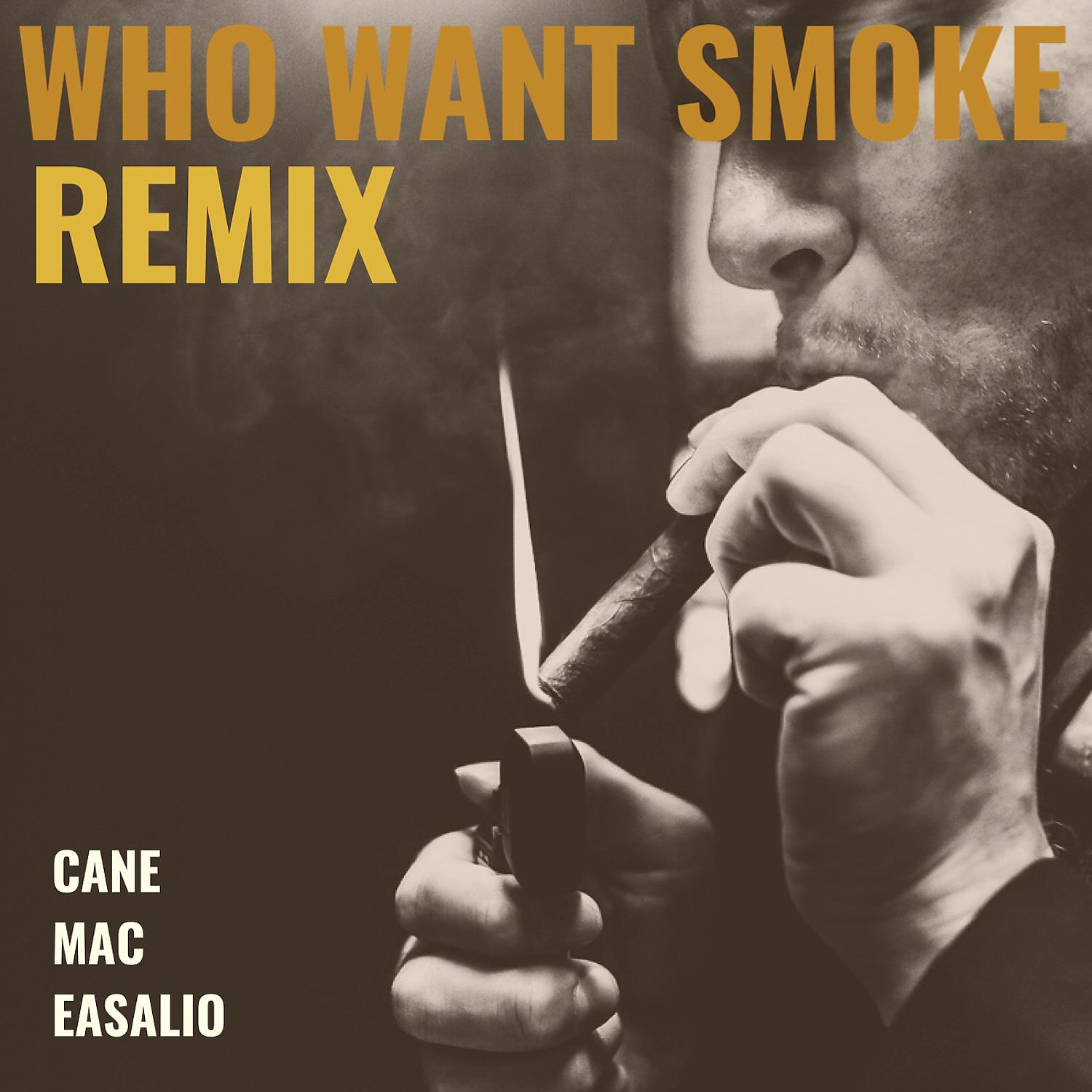 Постер альбома Who Want Smoke (Remix) [feat. MAC & Easalio]