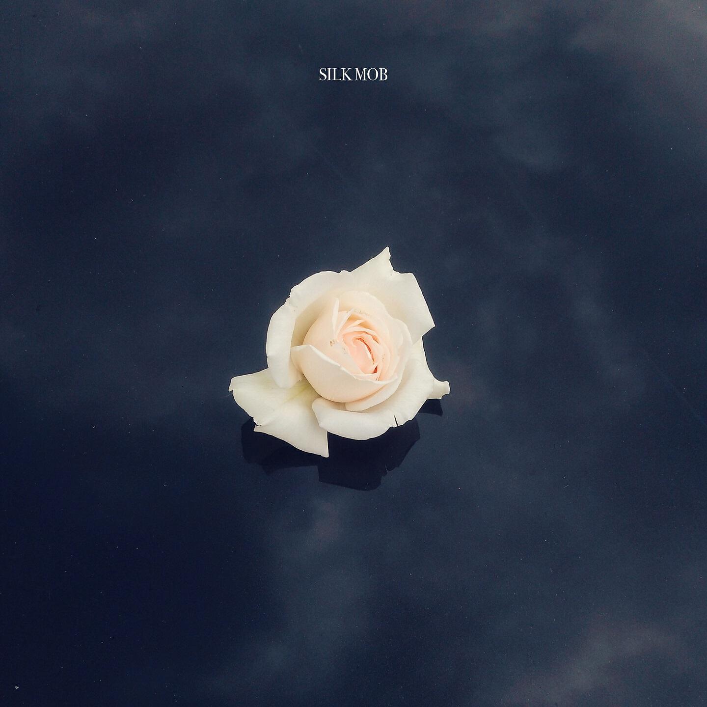SILK MOB - Dahin