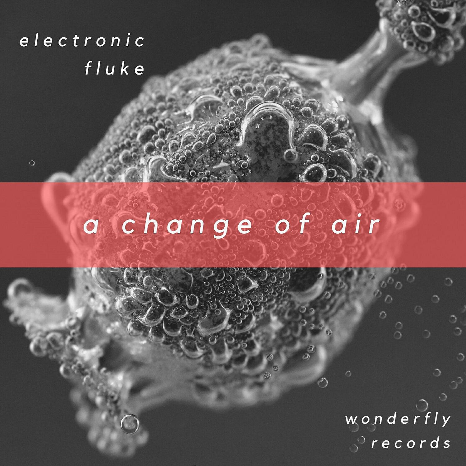 Electronic Fluke - A change of air