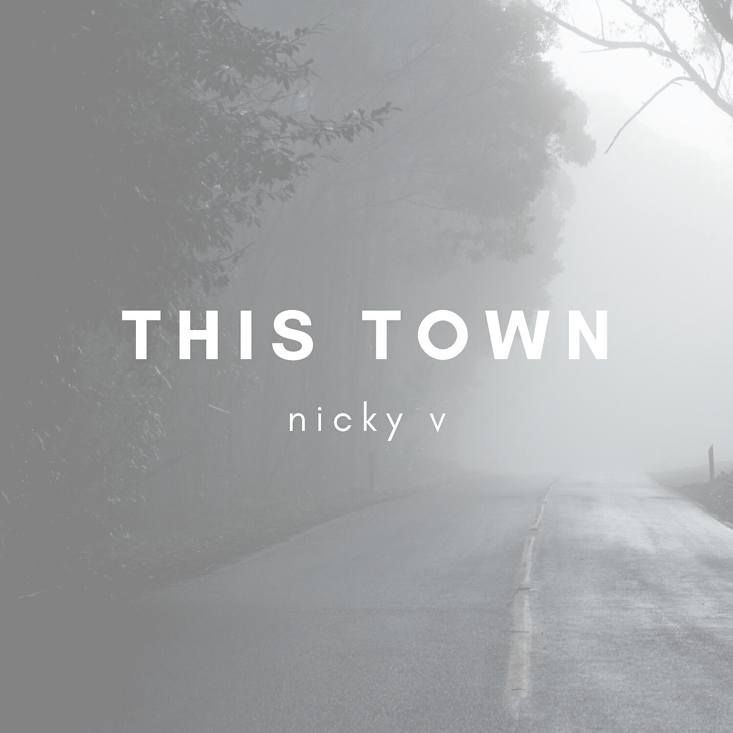 Nicky V - This Town (Acoustic Cover)