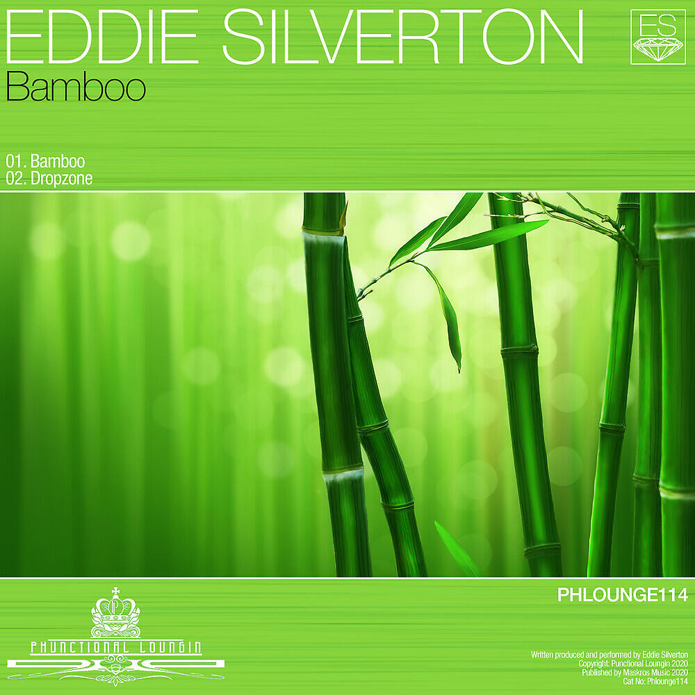 Eddie Silverton - Dropzone