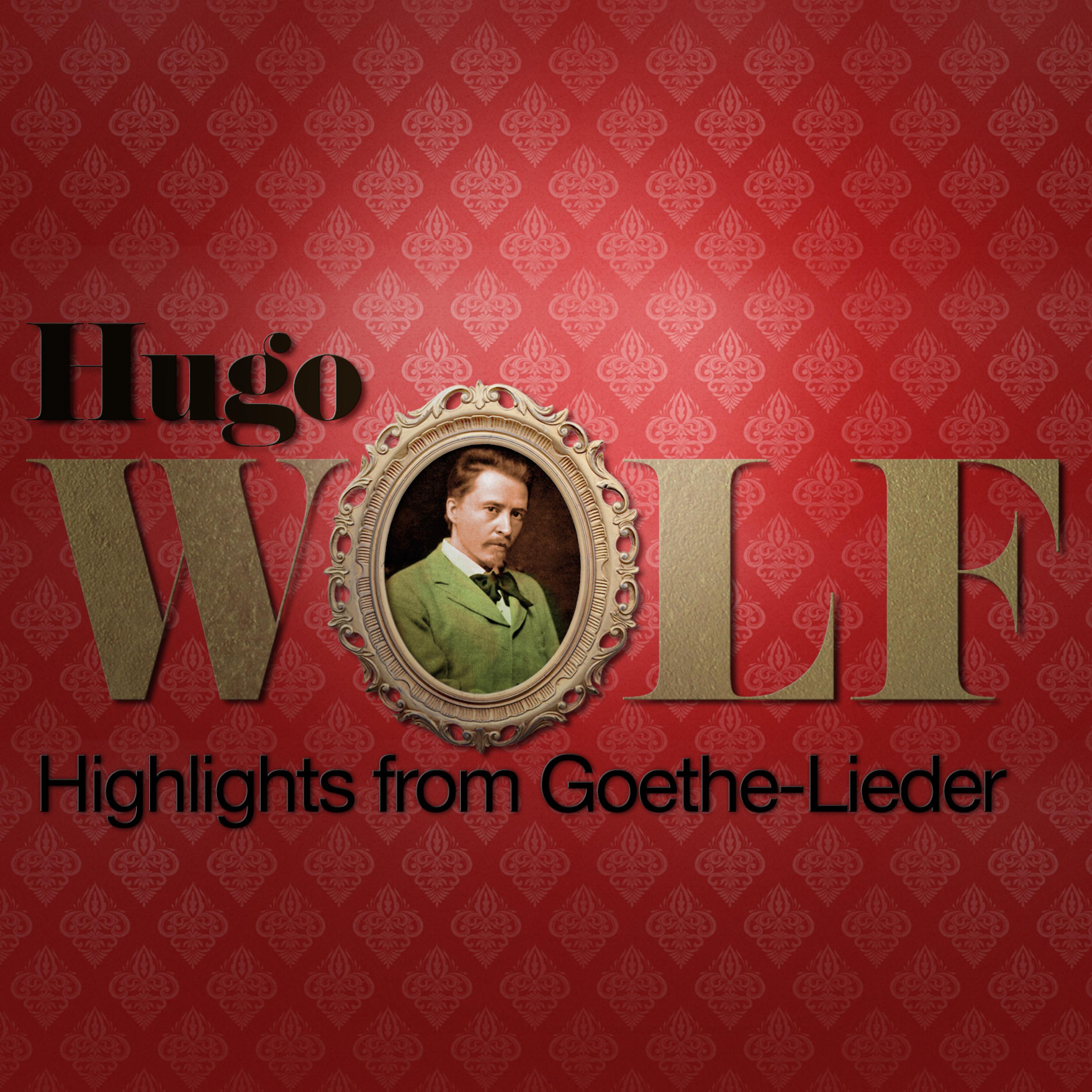 Постер альбома Hugo Wolf: Highlights from Goethe-Lieder