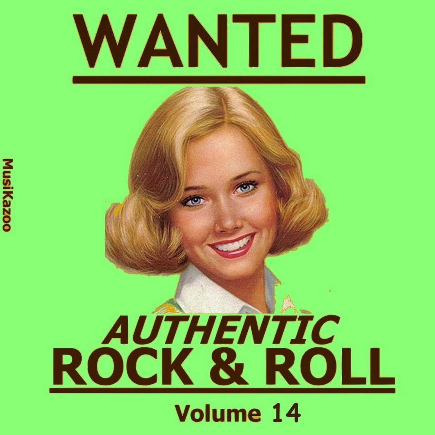 Постер альбома Wanted Authentic Rock & Roll (Vol. 14)