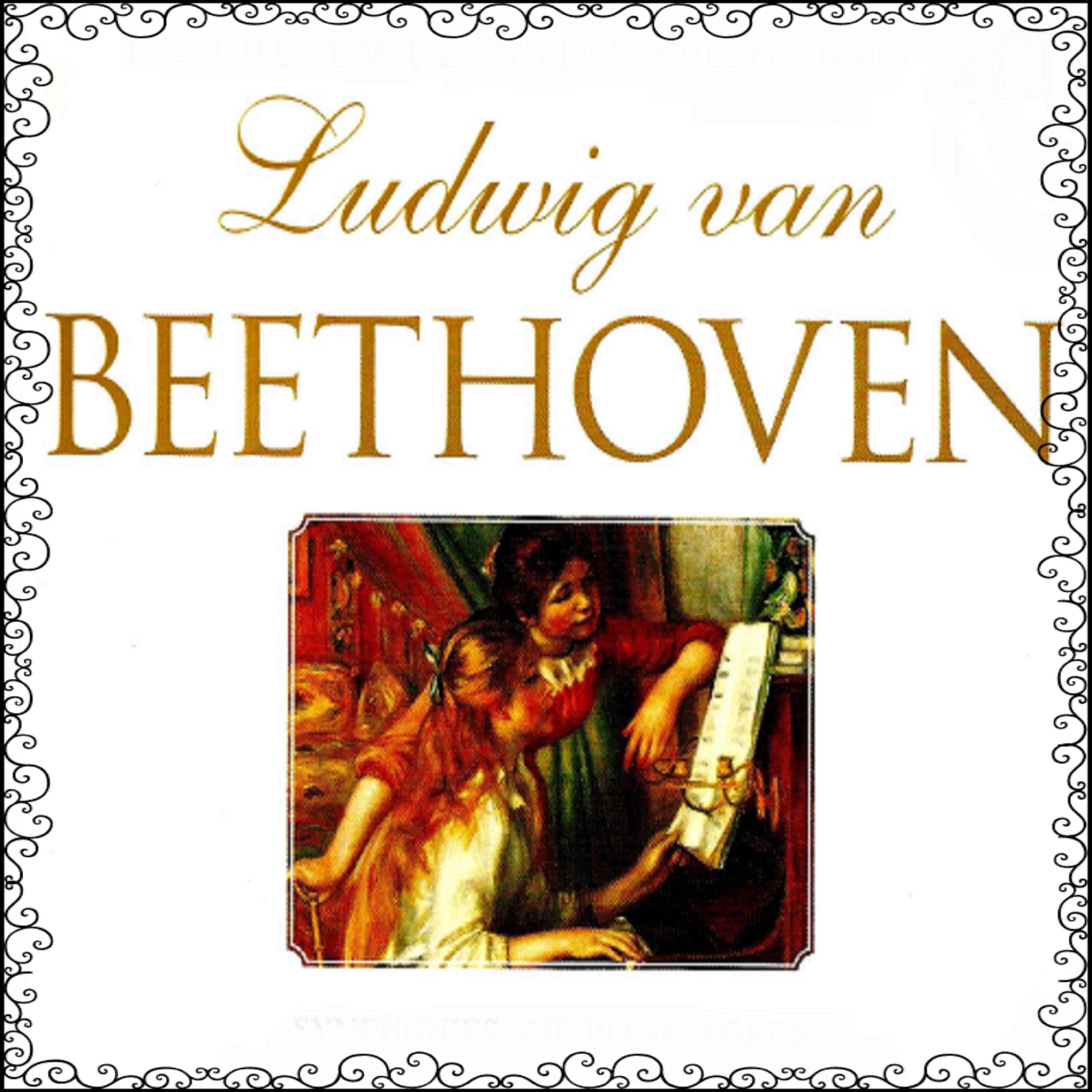 Camerata Cassovia - Symphony No. 5 in C Major, Op. 67: I. Allegro con brio