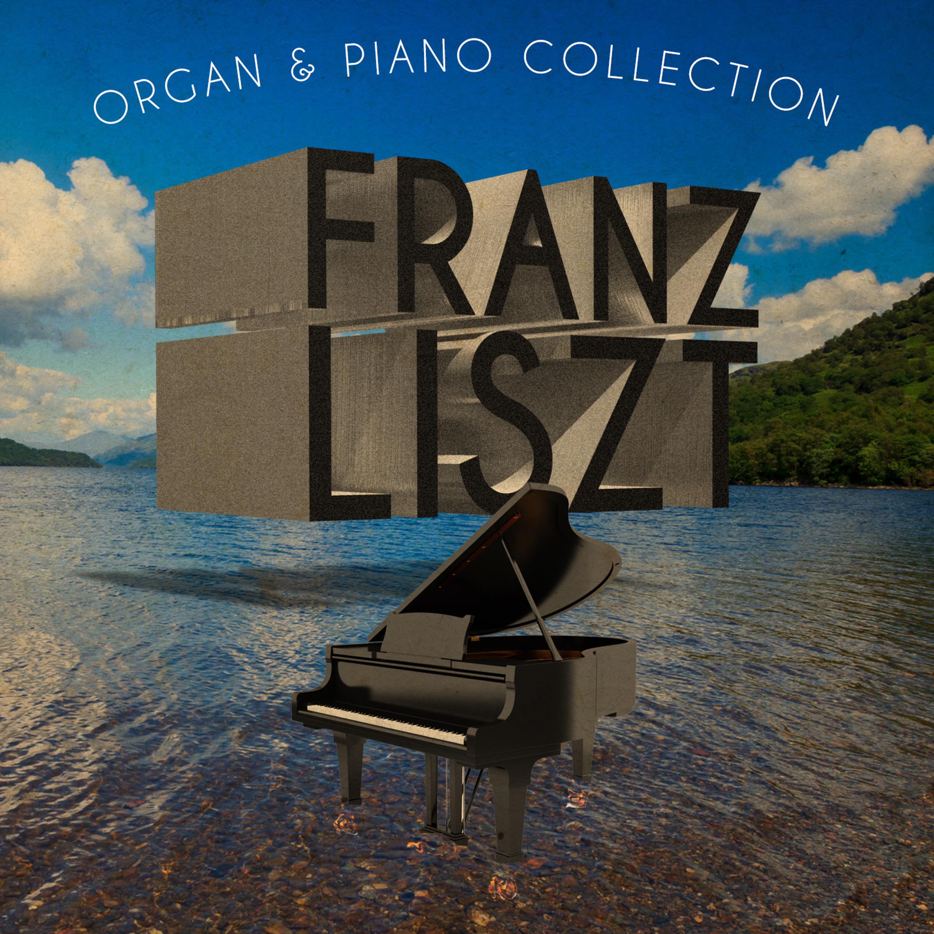 Постер альбома Franz Liszt: Organ & Piano Collection