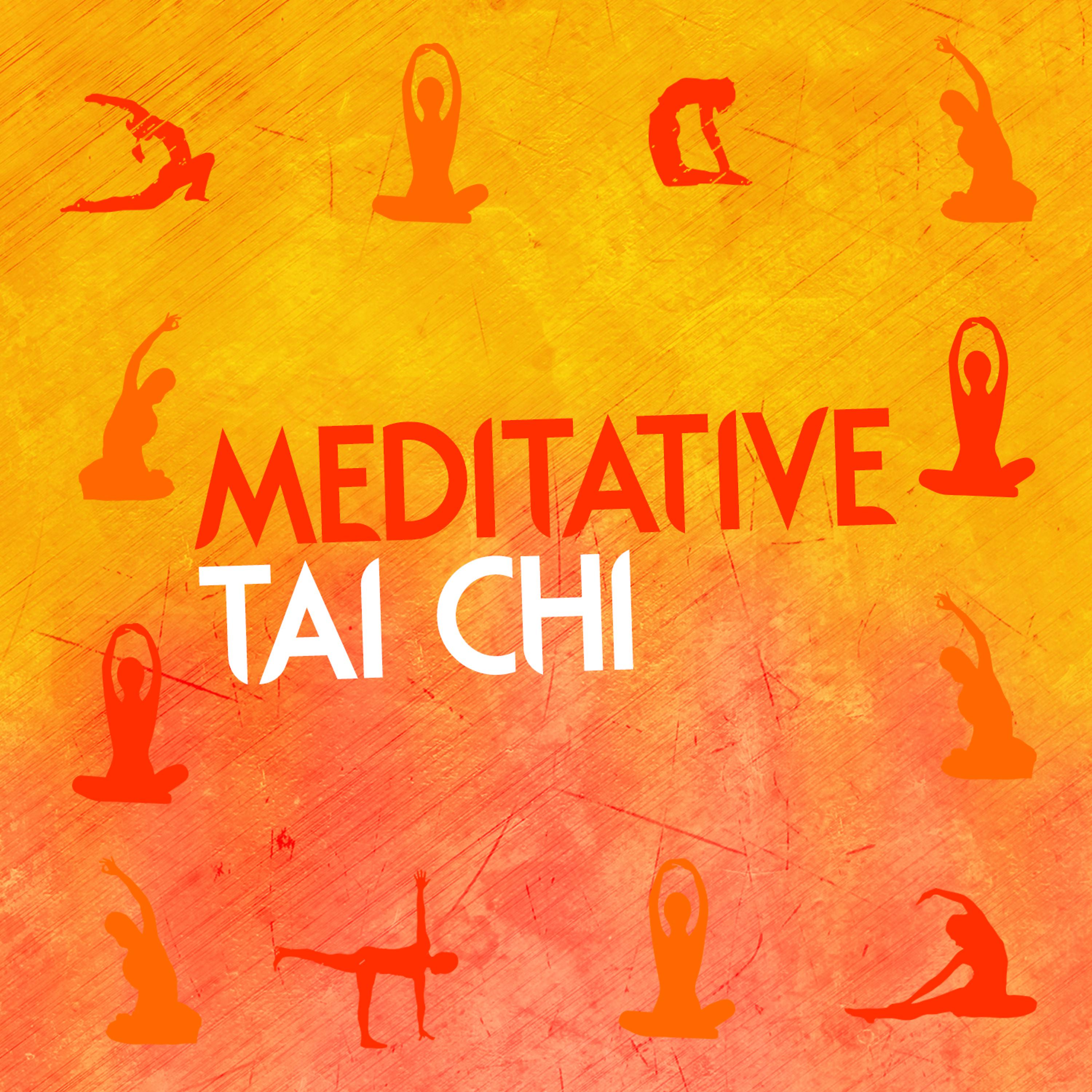 Постер альбома Meditative Tai Chi