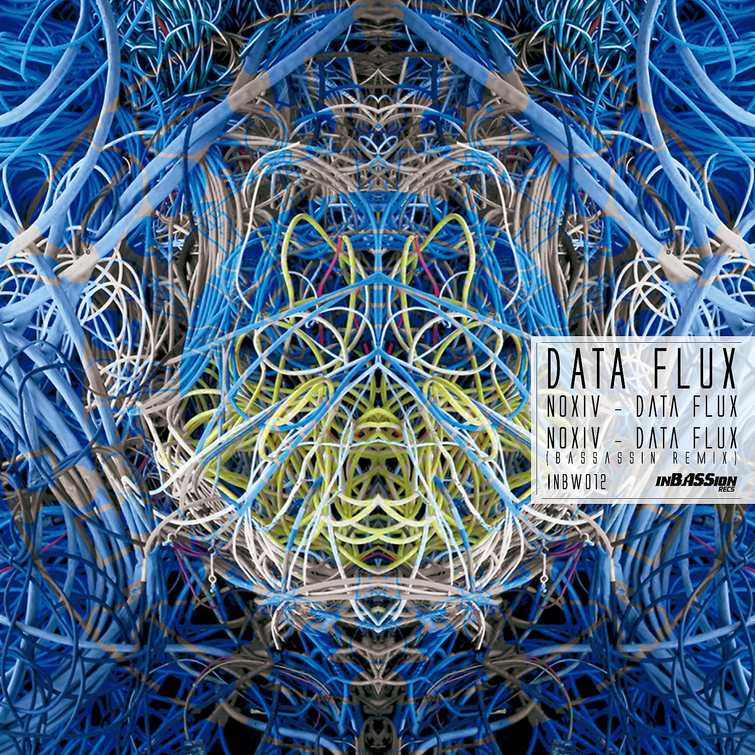 Постер альбома Data FLux