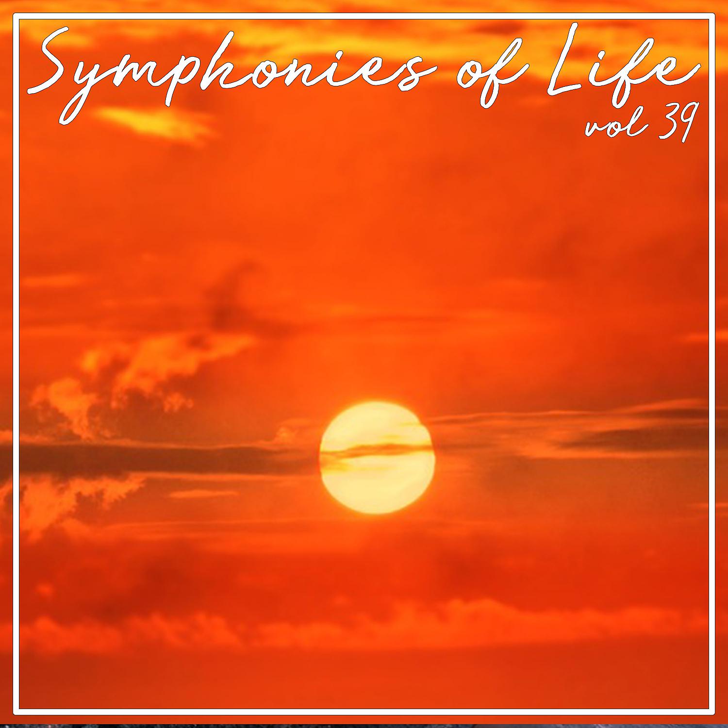 Постер альбома Symphonies of Life, Vol. 39 - Schunck, Kalliwoda, Ropartz, Nielsen