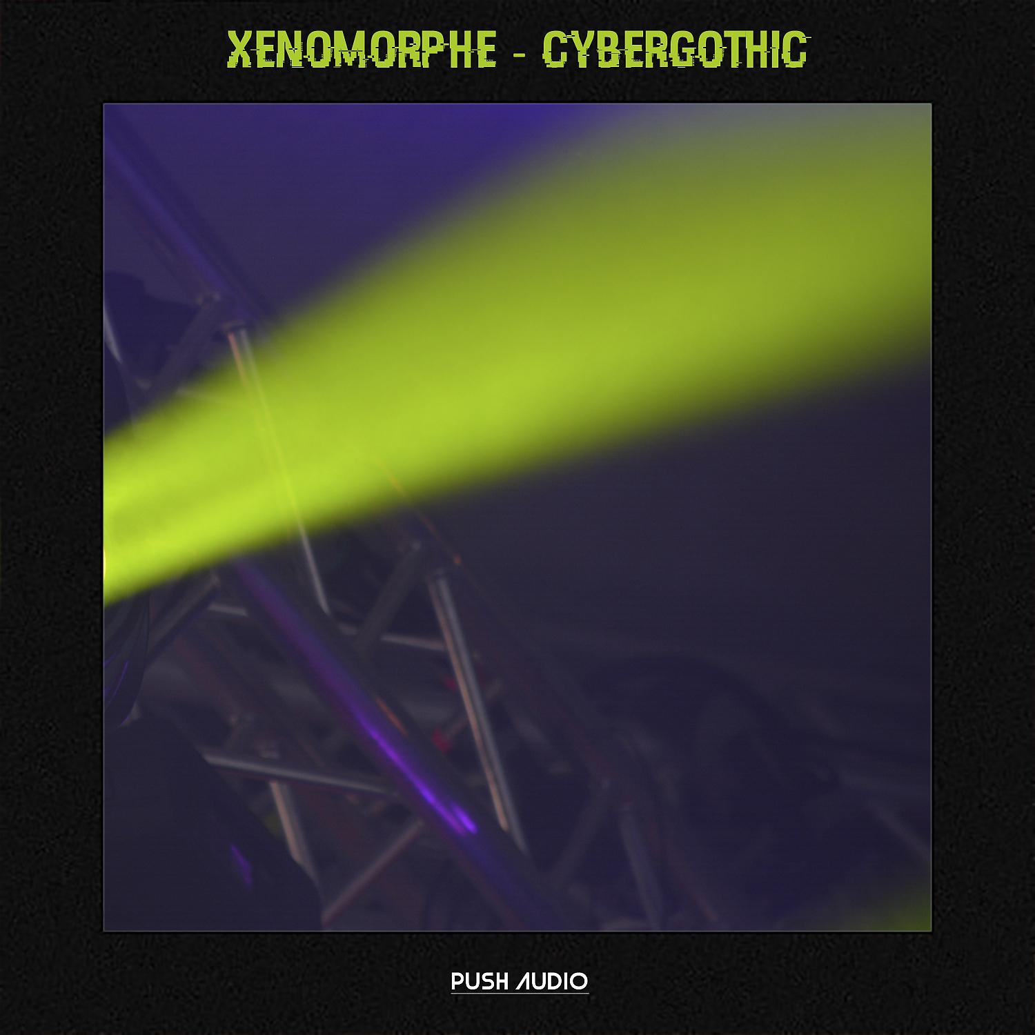 Постер альбома Cybergothic