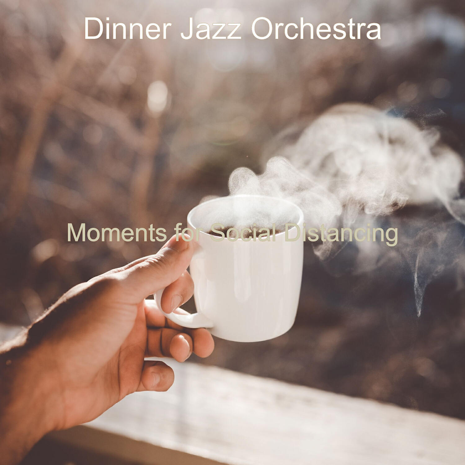 Dinner Jazz Orchestra - Moments for Social Distancing