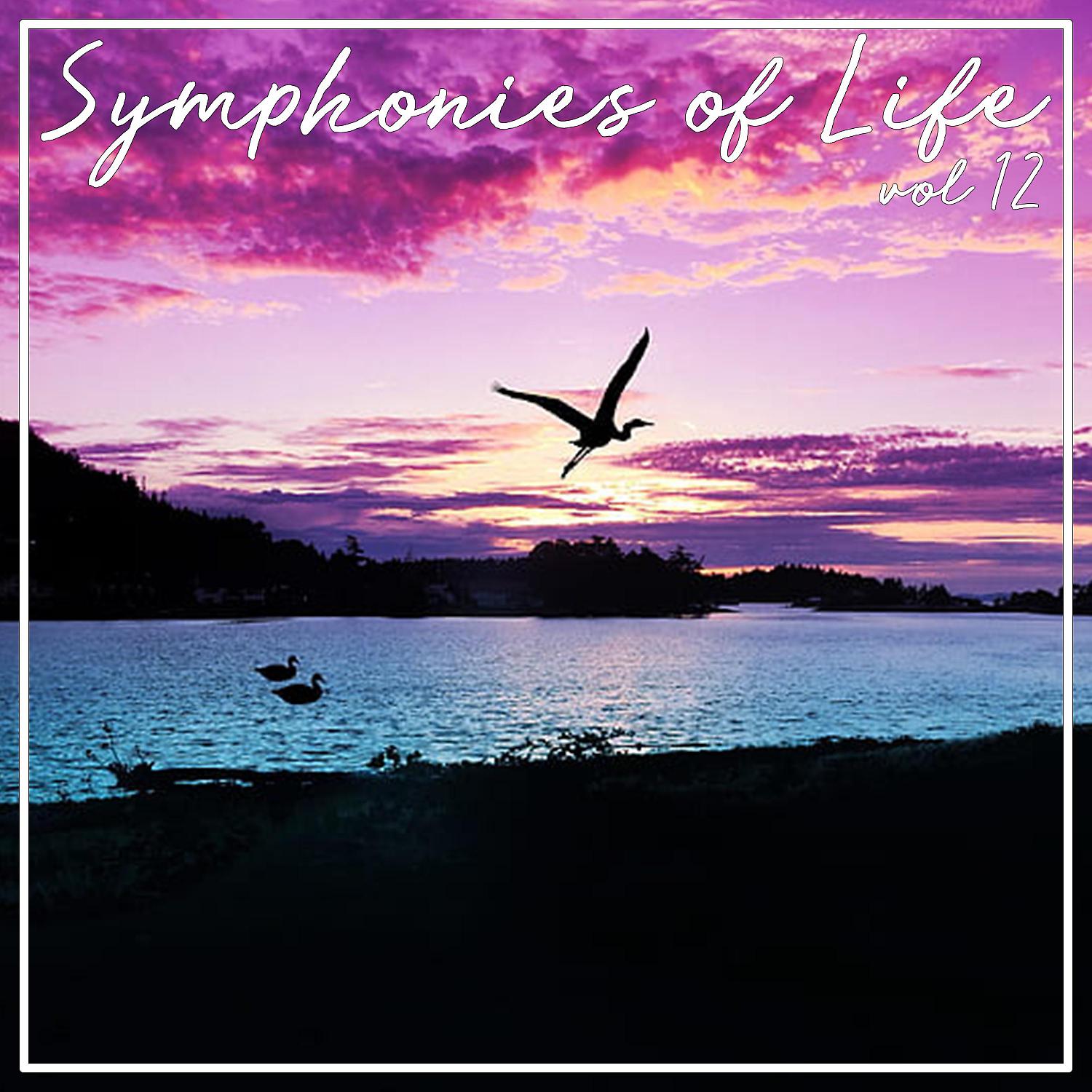 Постер альбома Symphonies of Life, Vol. 12 - Domaschenko, Ernst Senff Chor, RSO Berlin - Prokofiev: Alexander Nevsky-Filmmusik