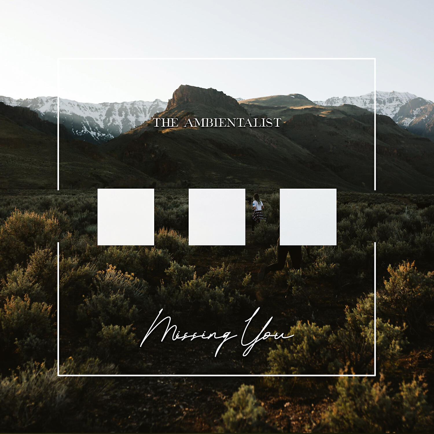 The Ambientalist - Missing You