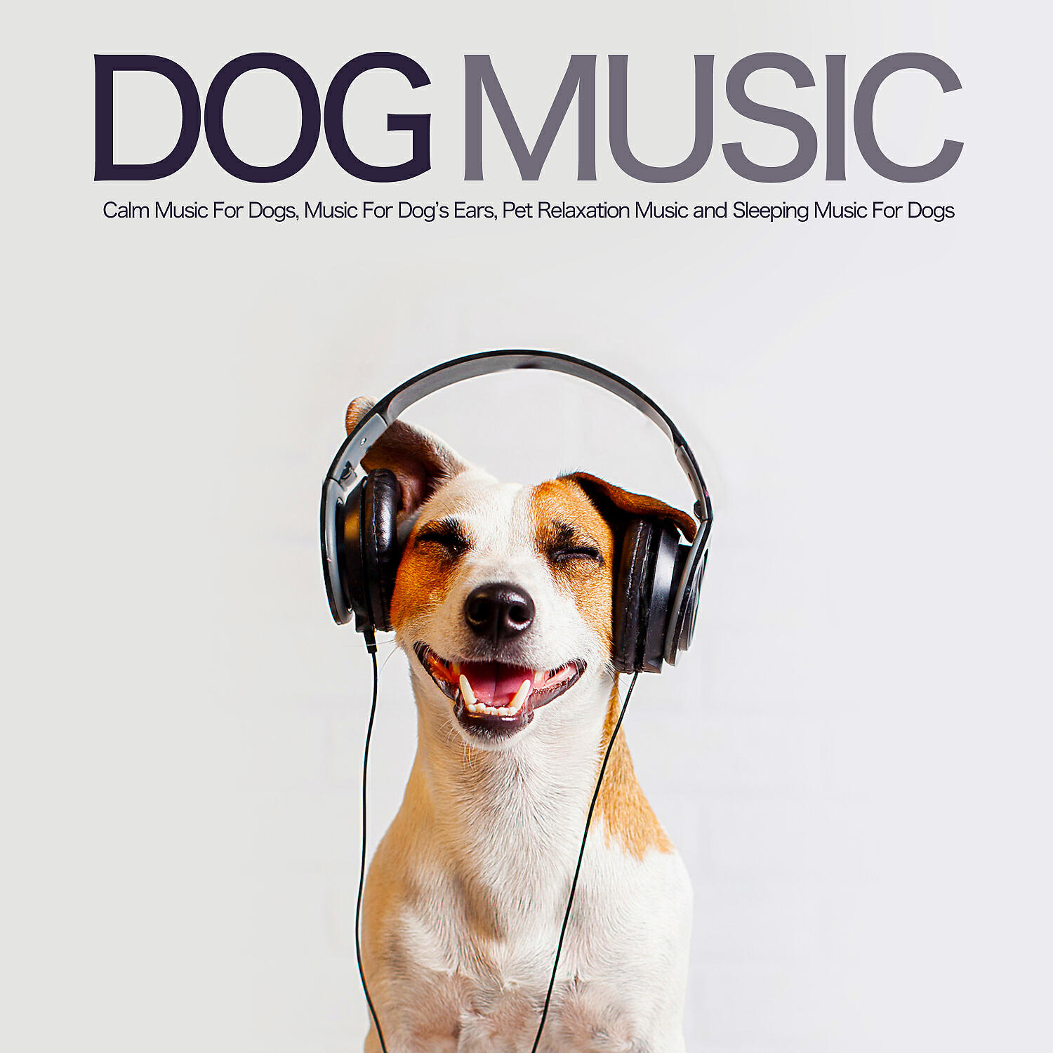 Dog Music - Serene Music for My Dog