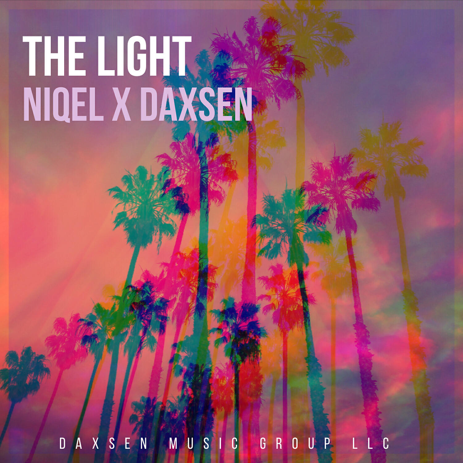 NIQEL - The Light