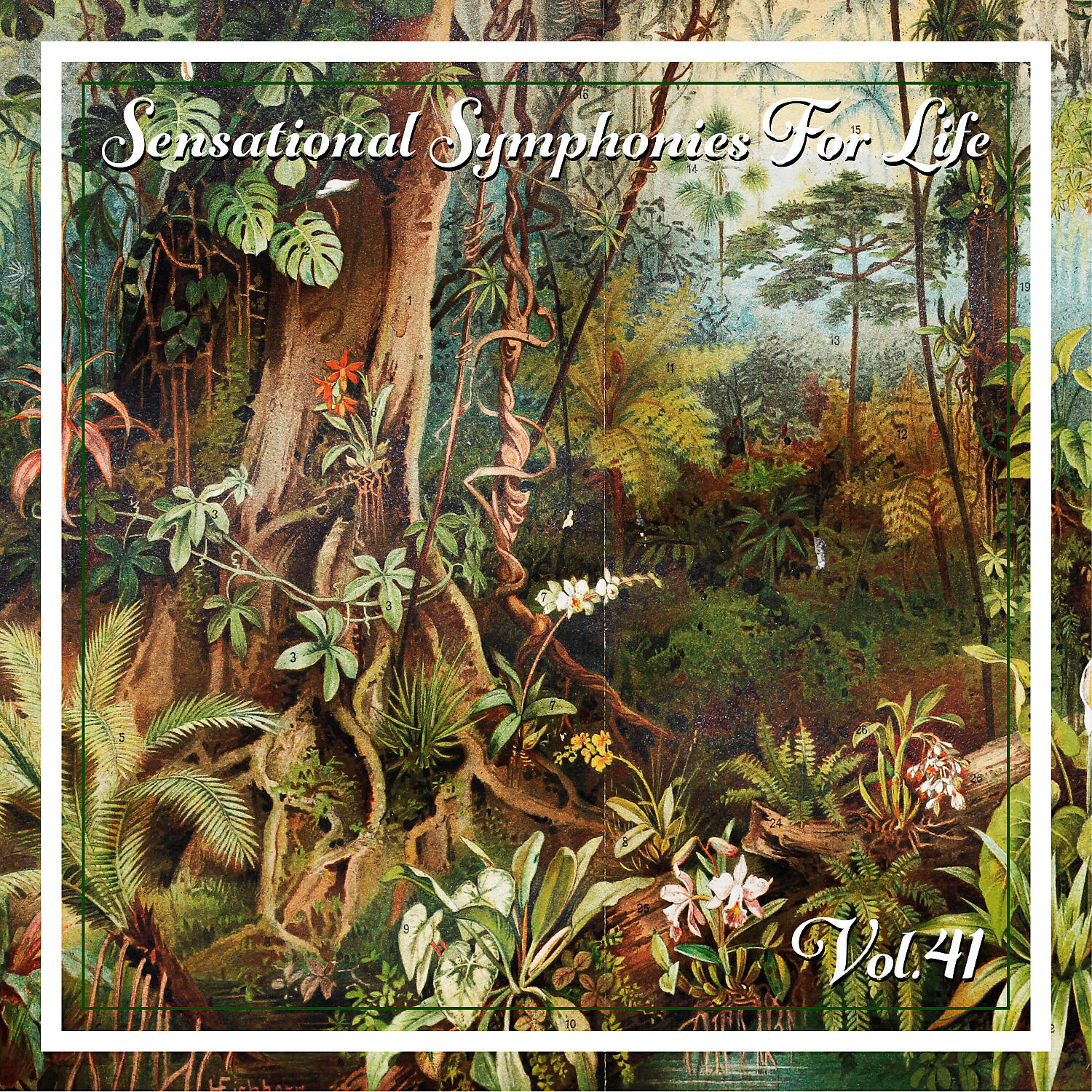 Academy Of St Martin In The Fields - Boyce: Symphony No.1 in B-Flat Major - 1. Allegro (I)