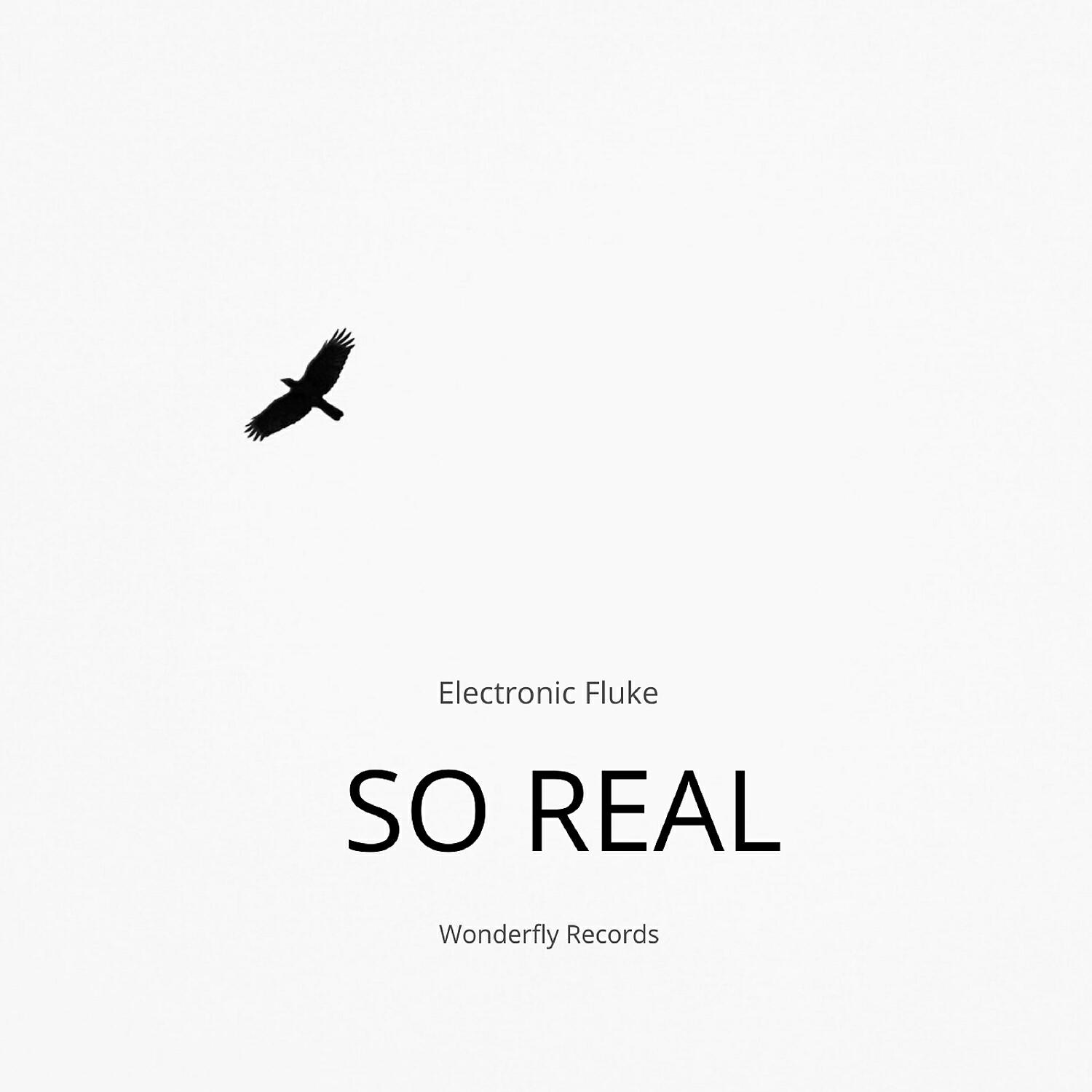 Electronic Fluke - Nameless Intruders