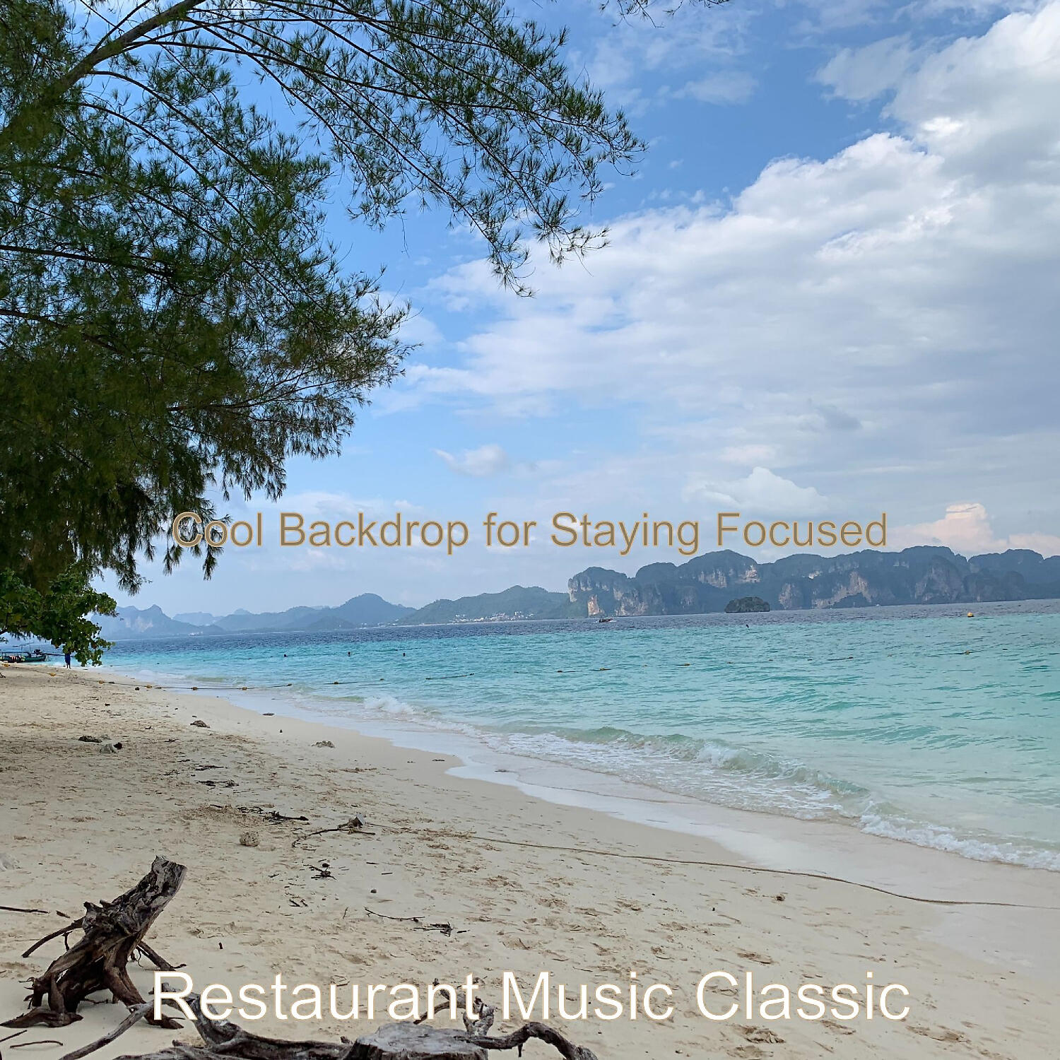 Restaurant Music Classic - Cheerful Atmosphere for Work from Home