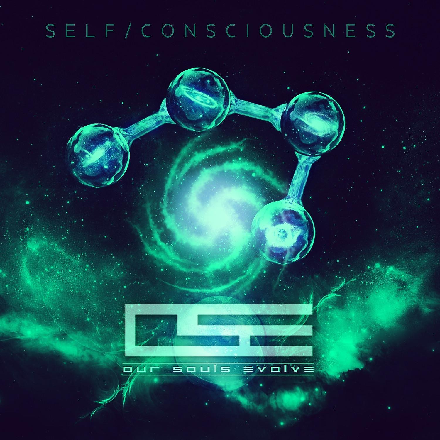 Постер альбома Self/Consciousness