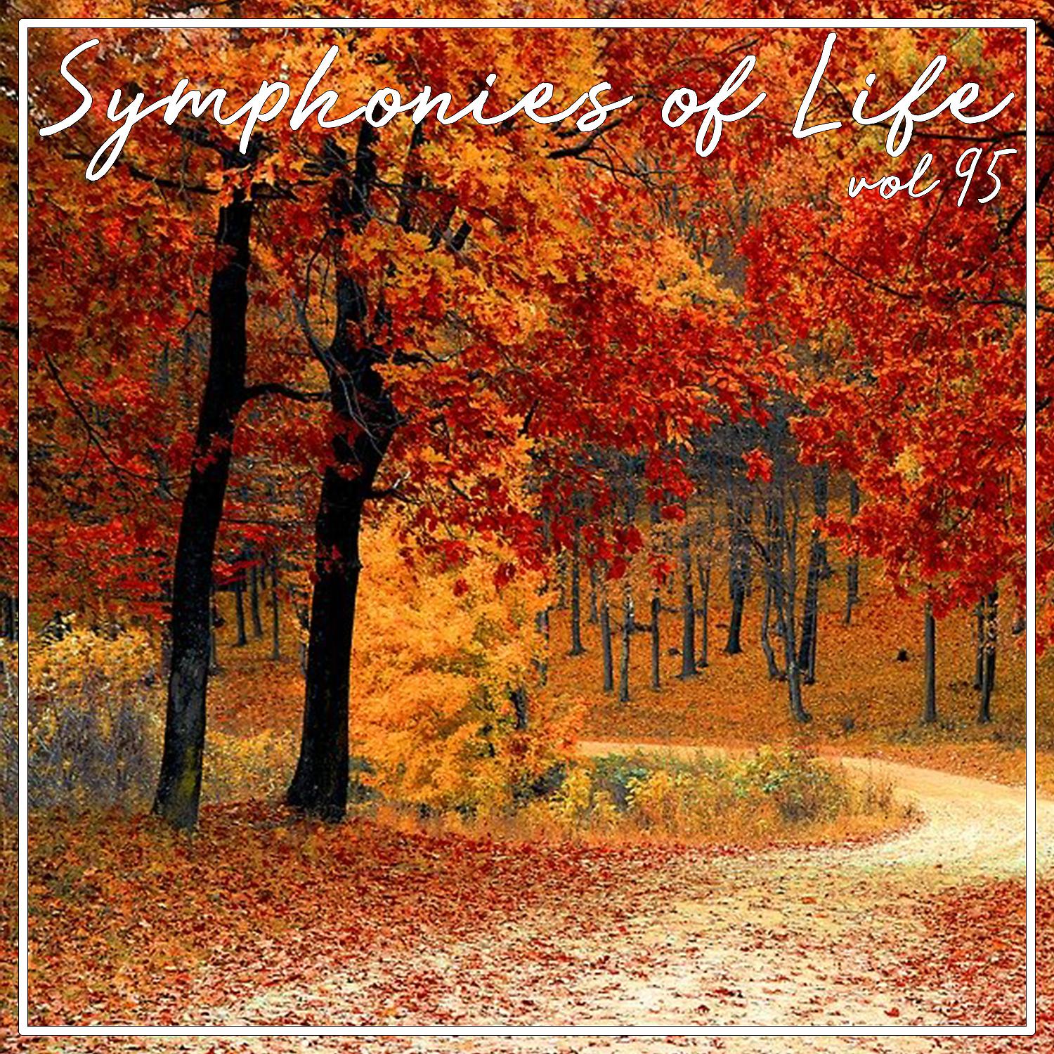 Постер альбома Symphonies of Life, Vol. 95 - Di Lasso: Busspalmen II