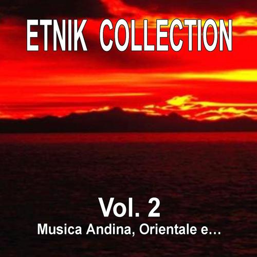 Постер альбома Etnik Collection Vol. 2