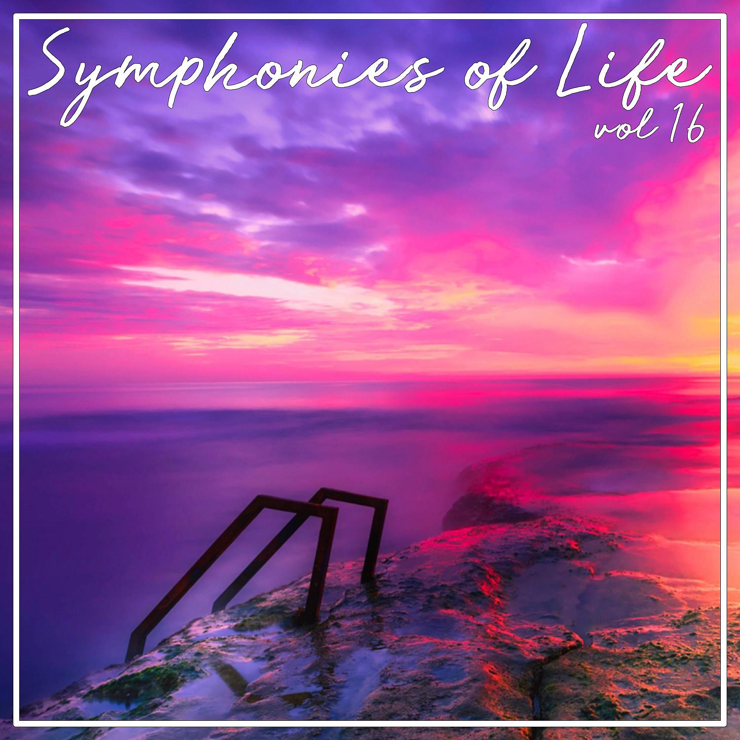 Постер альбома Symphonies of Life, Vol. 16 - Klassische Trompetenkonzerte