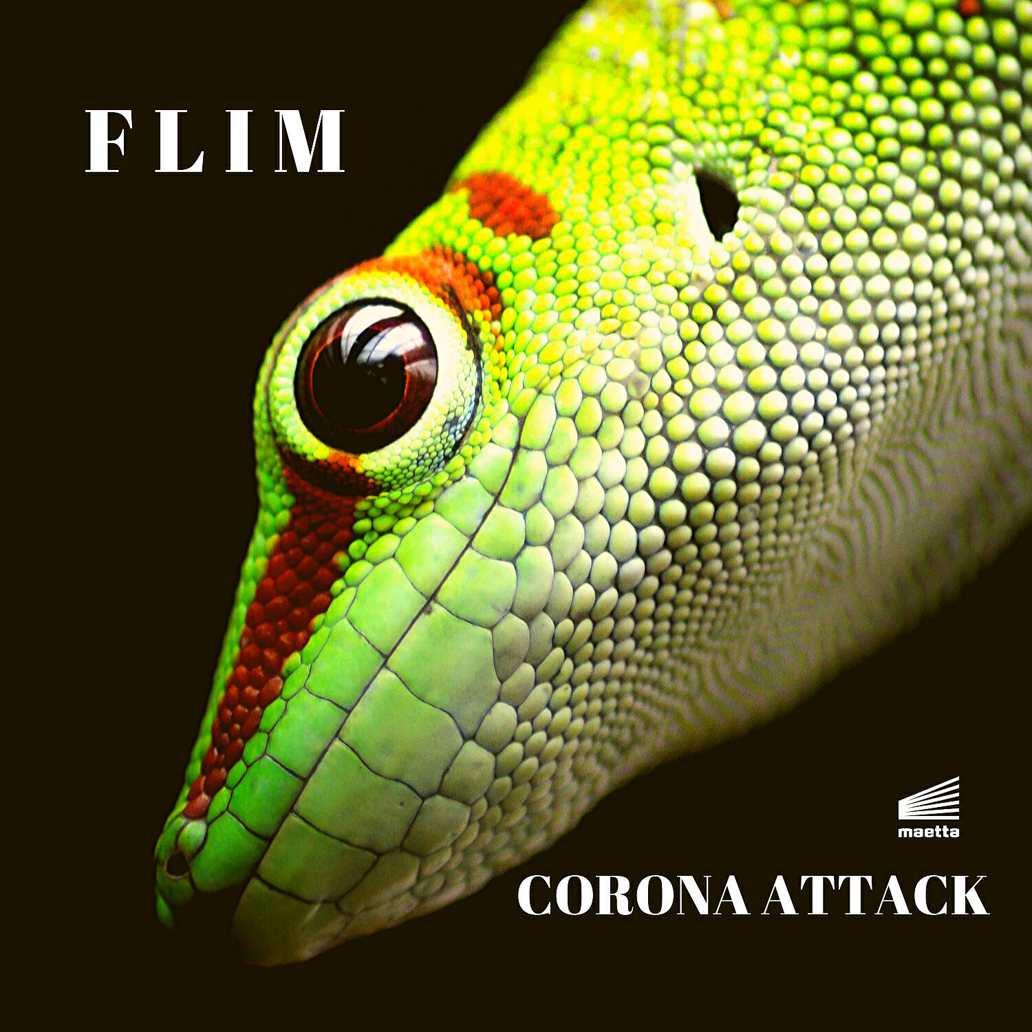 Flim - Junta