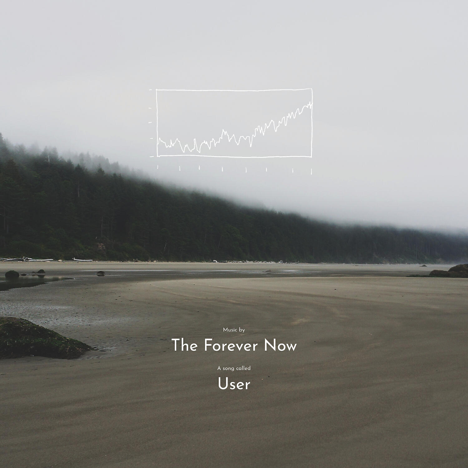 The Forever Now - User