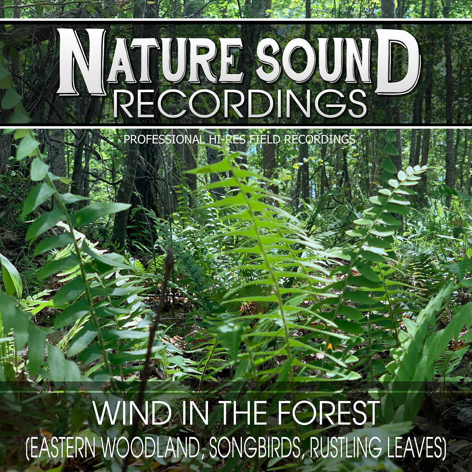 Nature Sound Recordings - Forest Wind