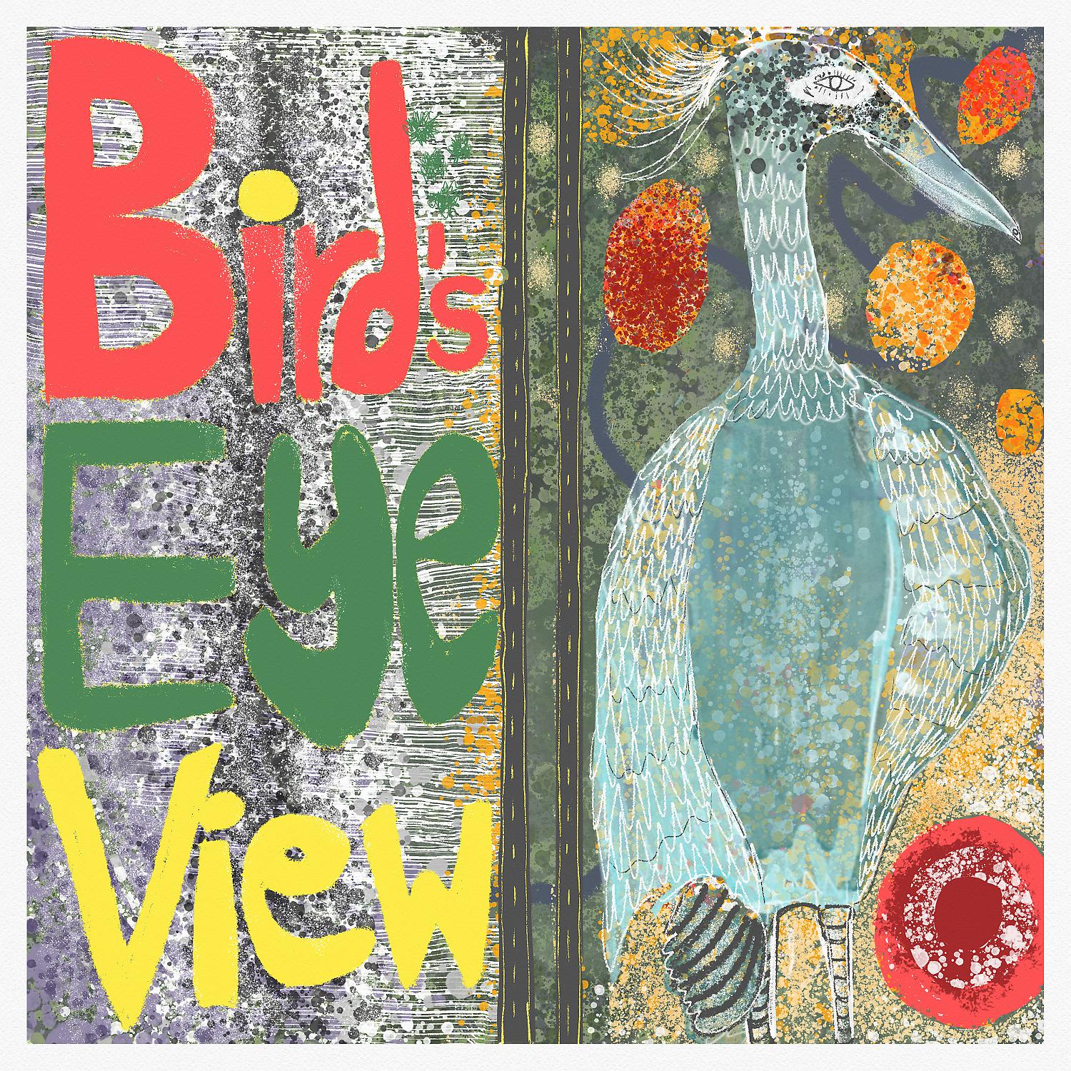 Постер альбома Bird's Eye View