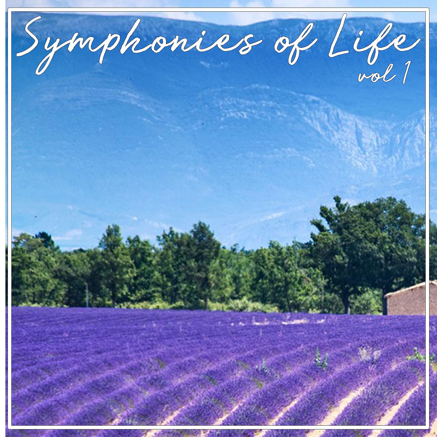 Постер альбома Symphonies Of Life, Vol. 1 - Handel: Overtures