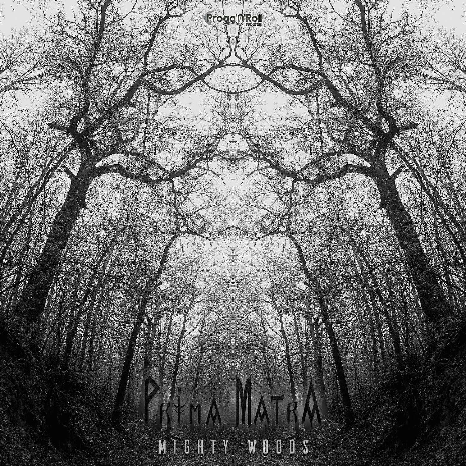 Постер альбома Mighty Woods