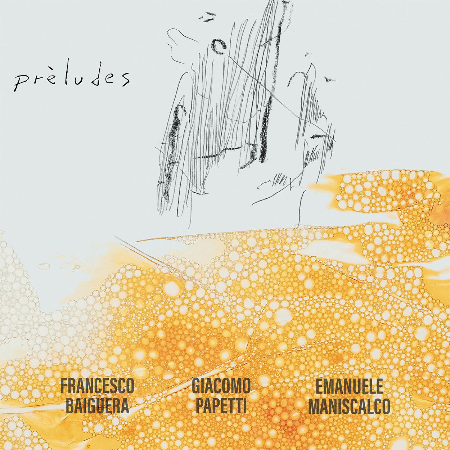 Постер альбома Preludes