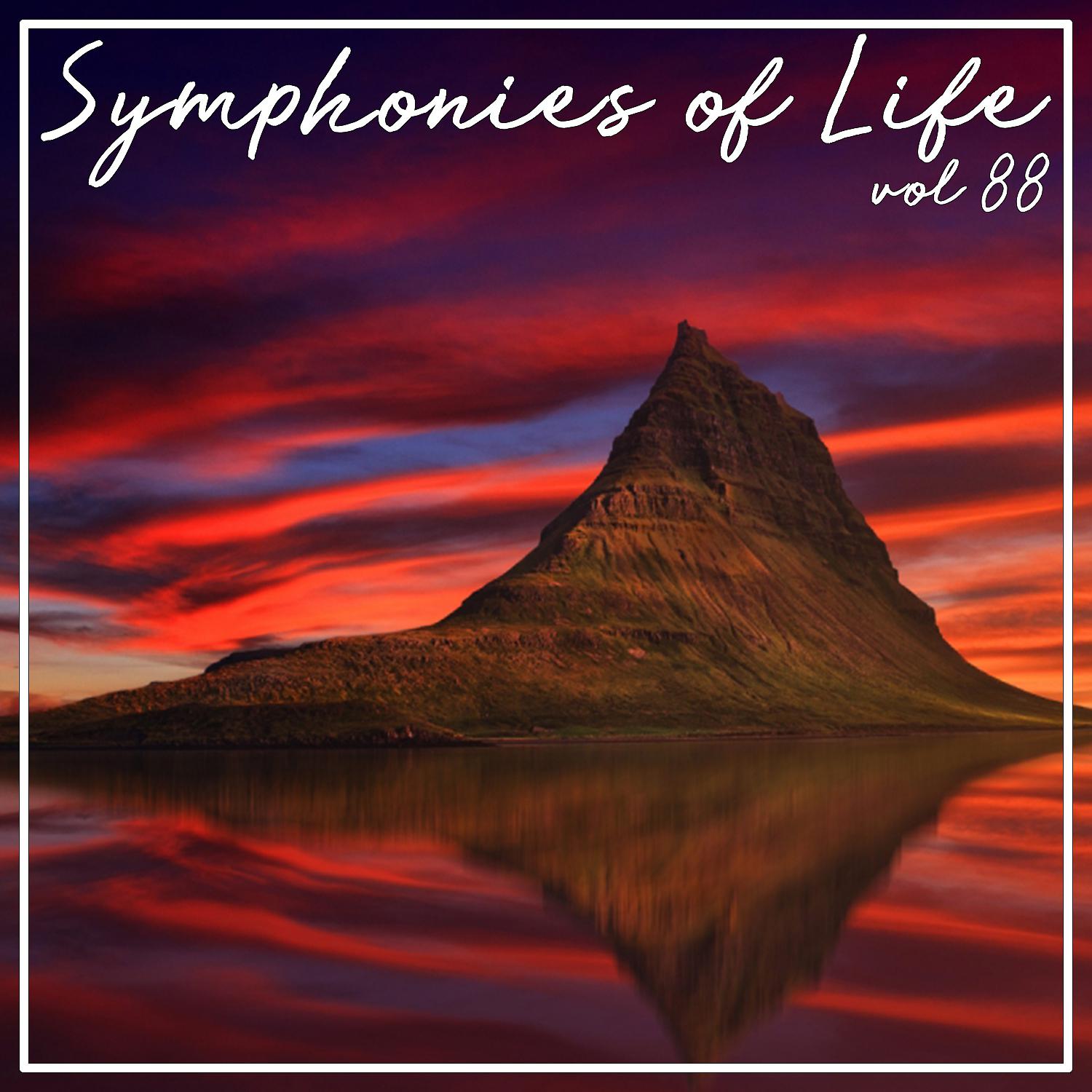 Постер альбома Symphonies of Life, Vol. 88 - Shostakovich, Schnittke: Rayok, Chamber Symphony op. 110, Prelude & Scherzo