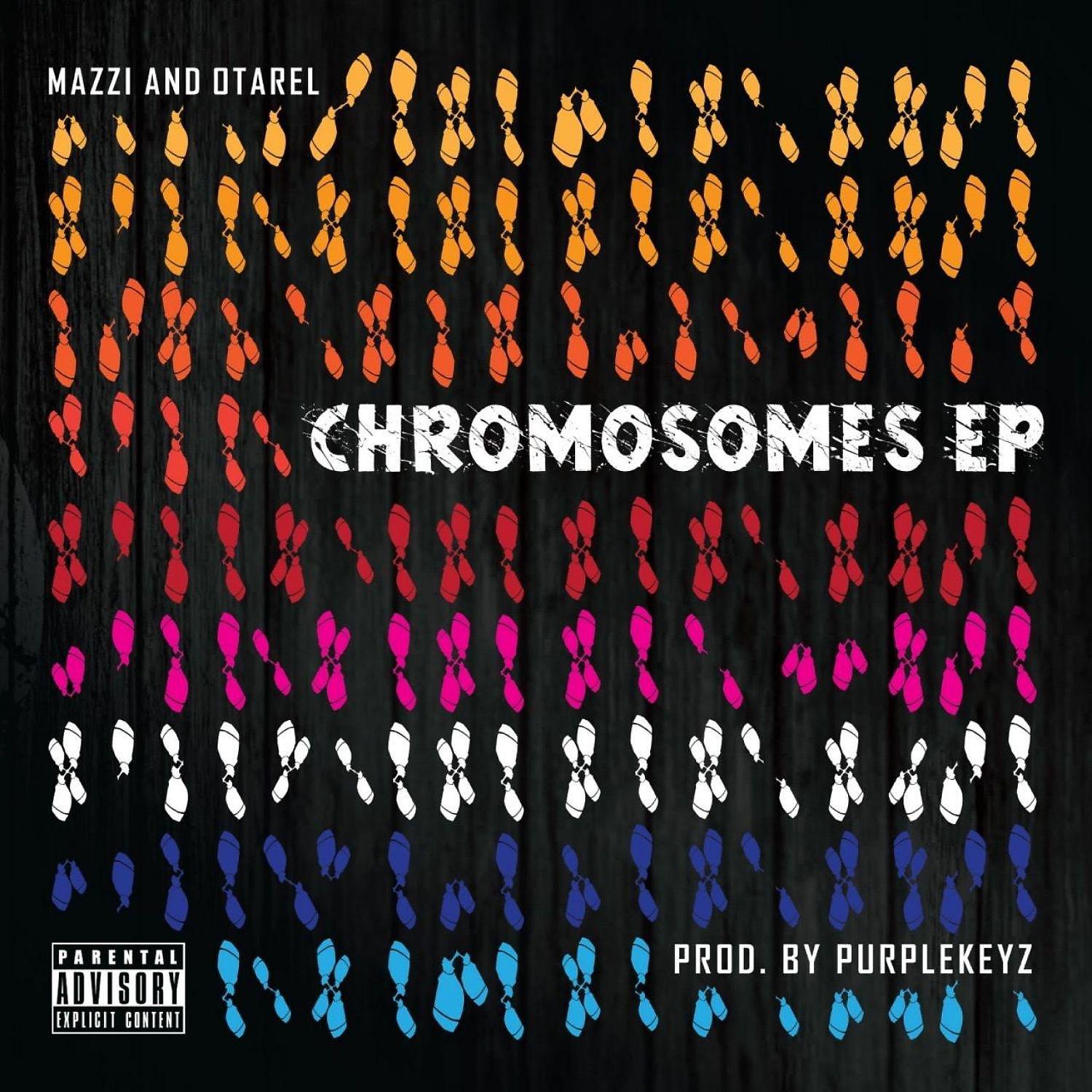 Постер альбома Chromosomes - EP