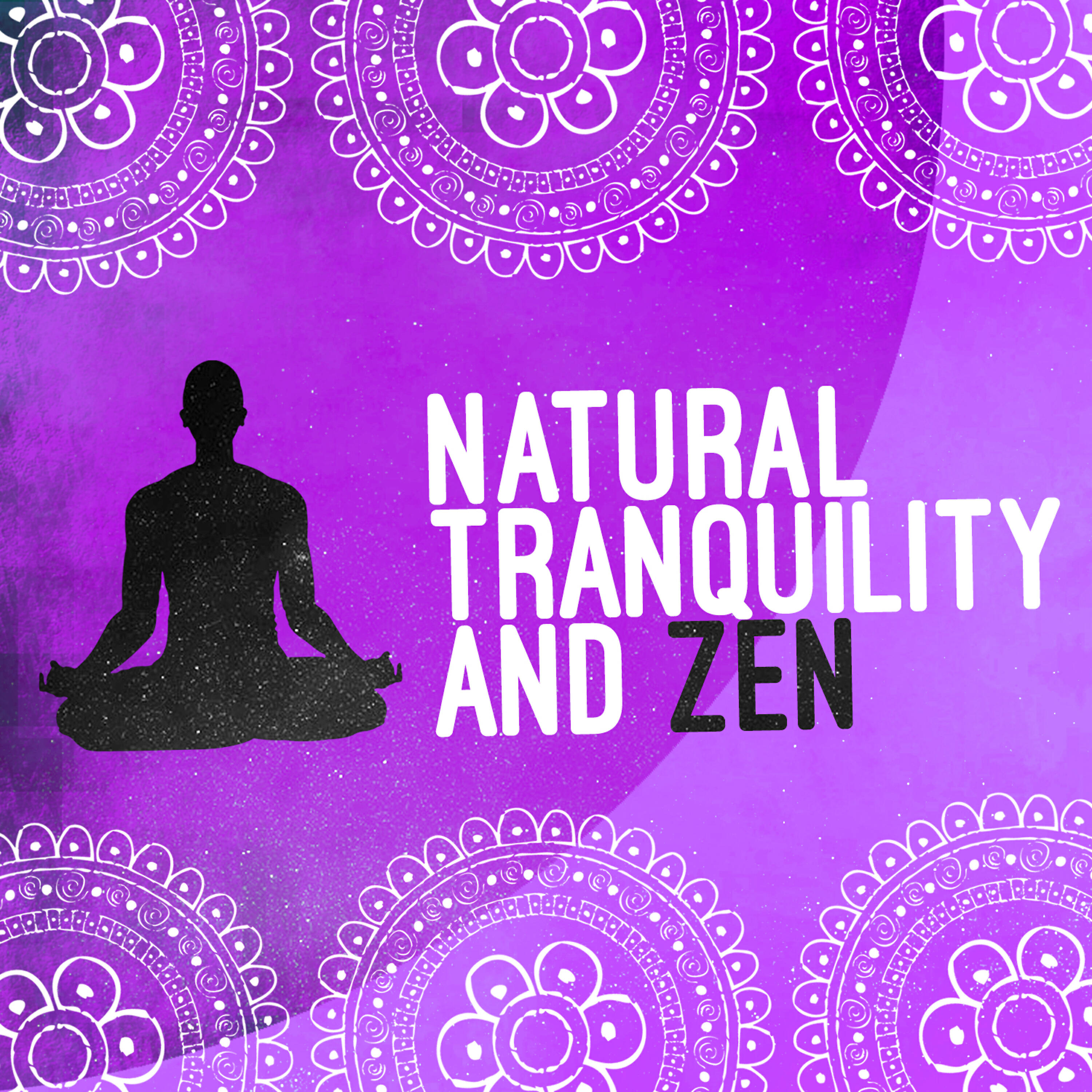 Meditate to Sounds of Nature - Life at the Start of the Stream