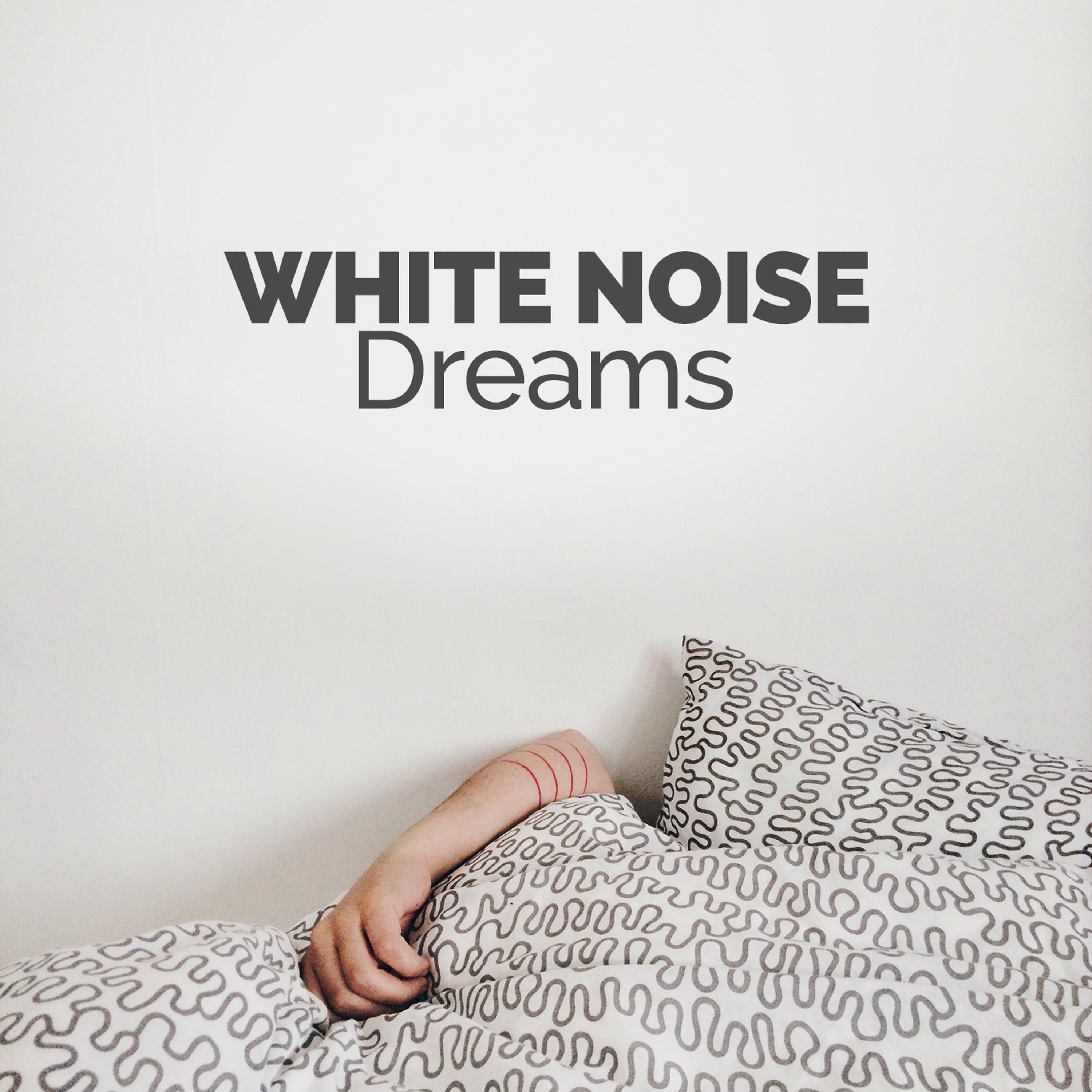 Постер альбома White Noise Dreams