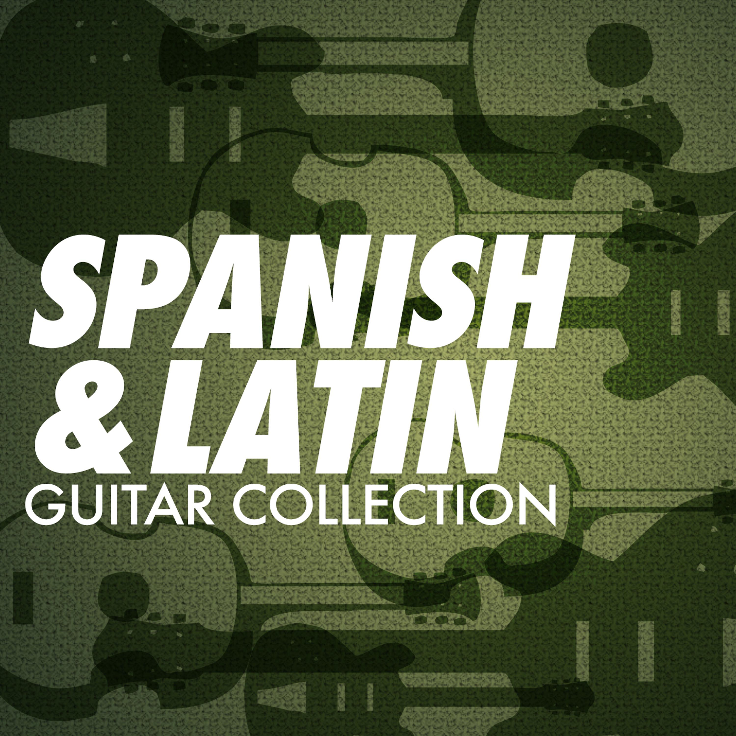 Постер альбома Spanish & Latin Guitar Collection