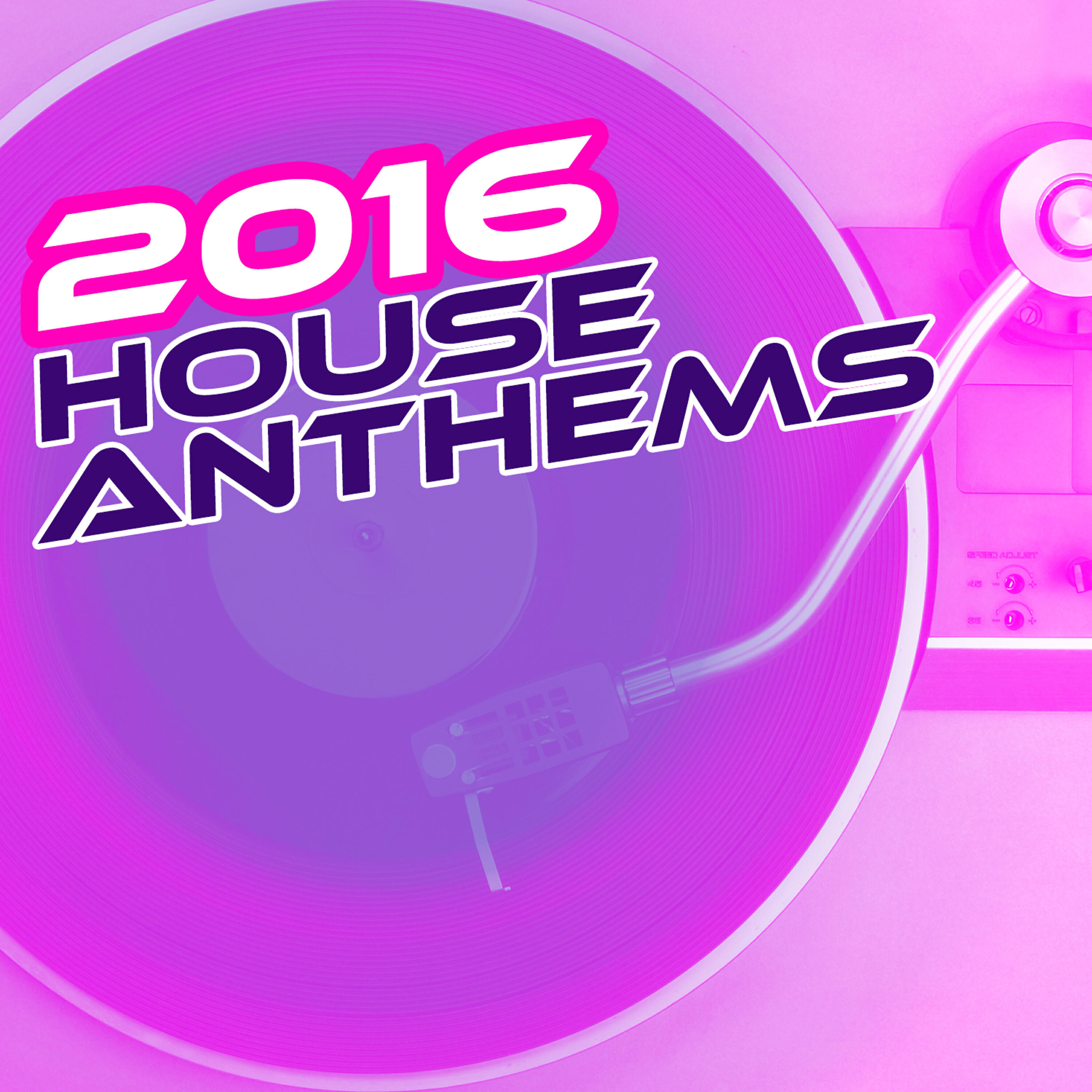 2015 Deep House - Lizard