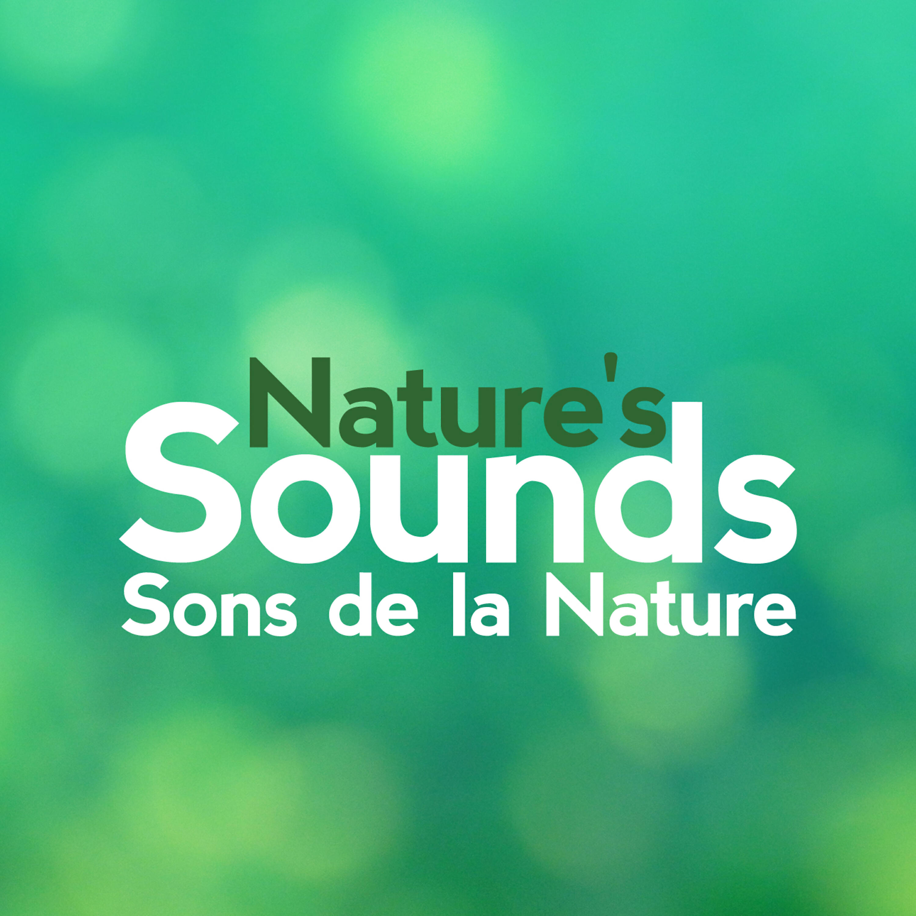 Nature Sounds - Sons de la nature - Rural Birds