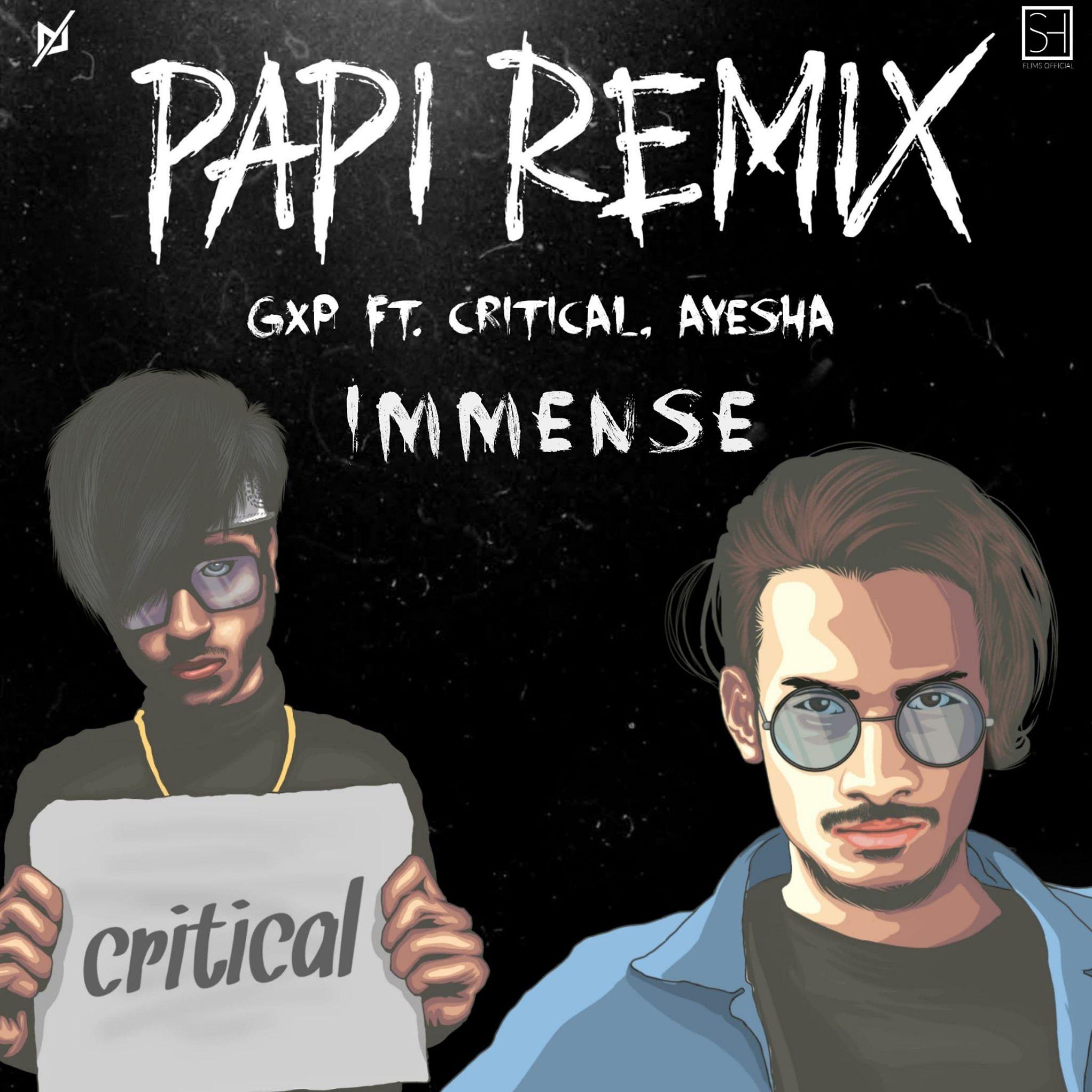 Постер альбома Papi (Immense Remix)