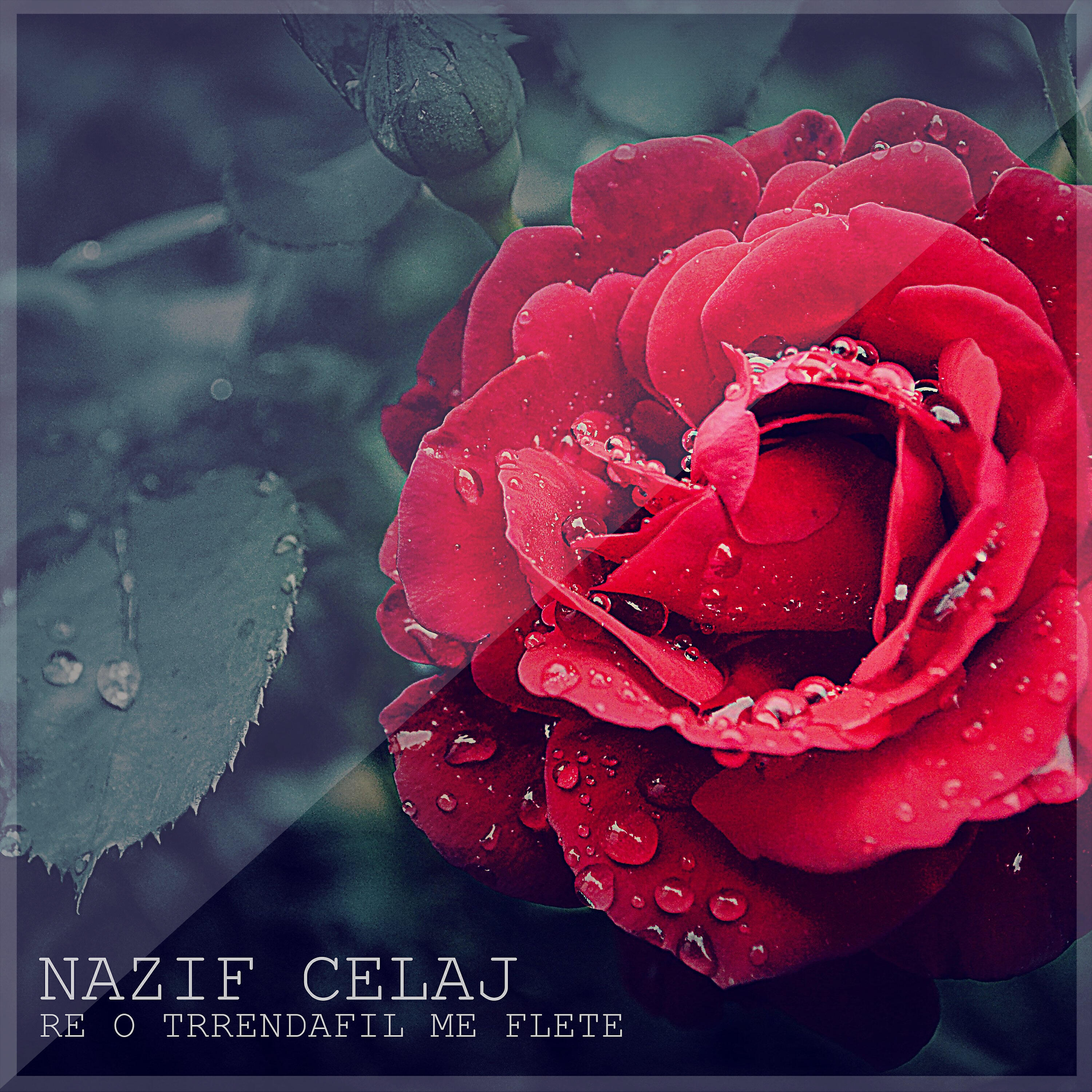 Nazif Celaj - Kene Per Nevruz Canaliaj