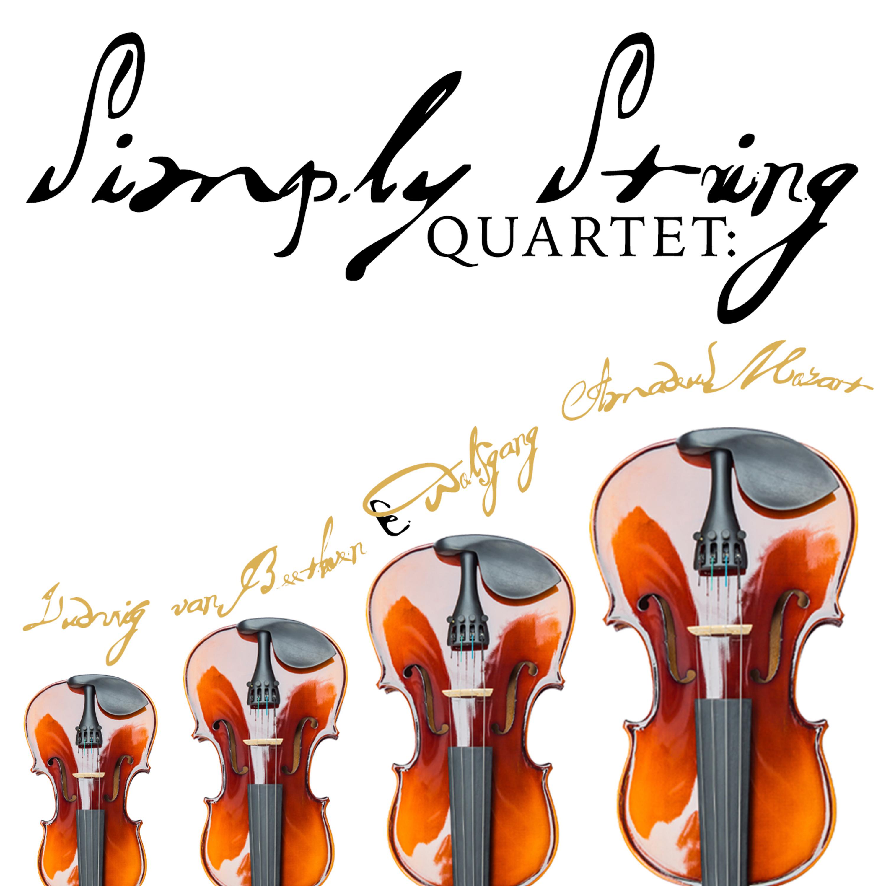 Постер альбома Simply String Quartet: Ludwig Van Beethoven & Wolfgang Amadeus Mozart