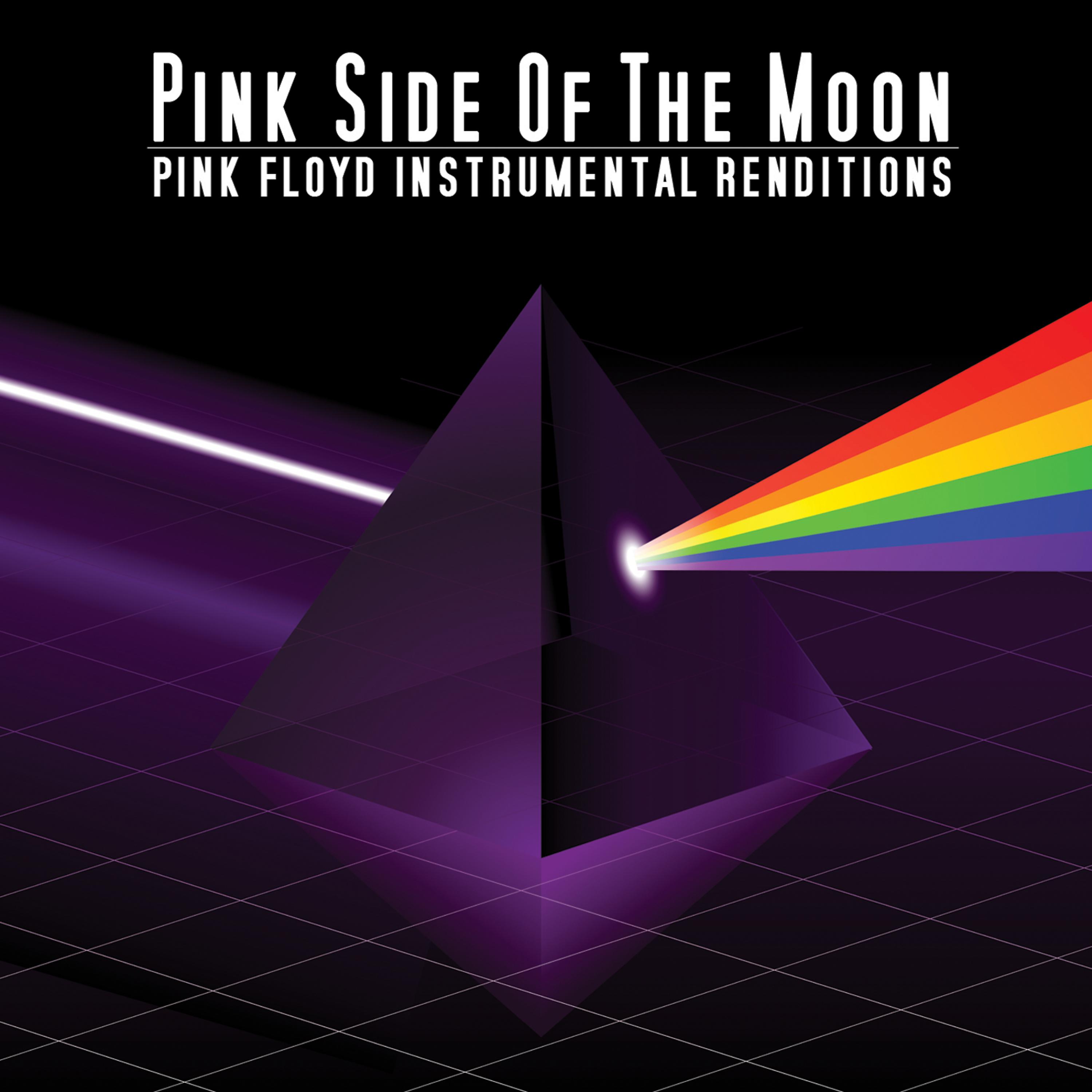 Постер альбома Pink Floyd Instrumental Renditions