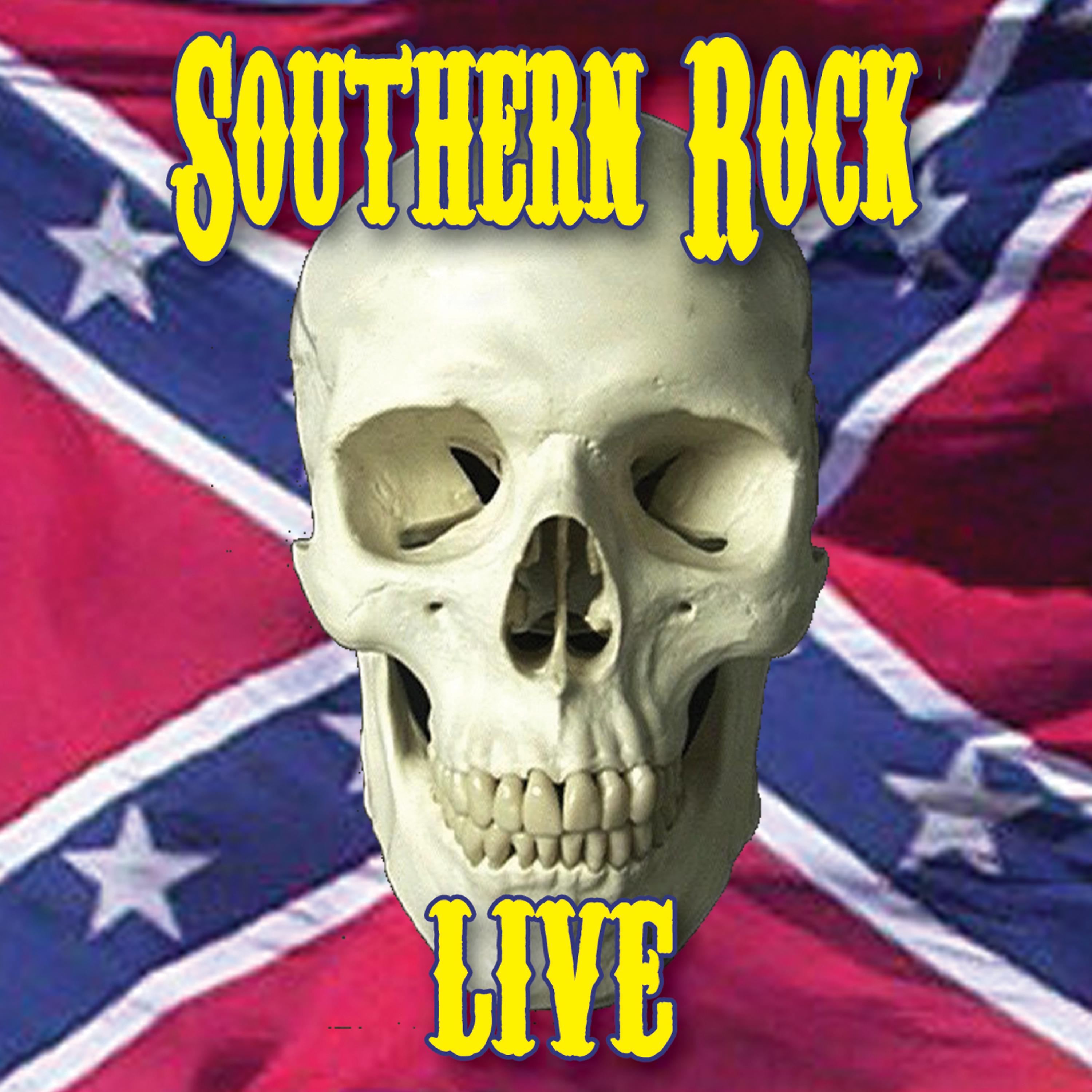 Постер альбома Southern Rock Live