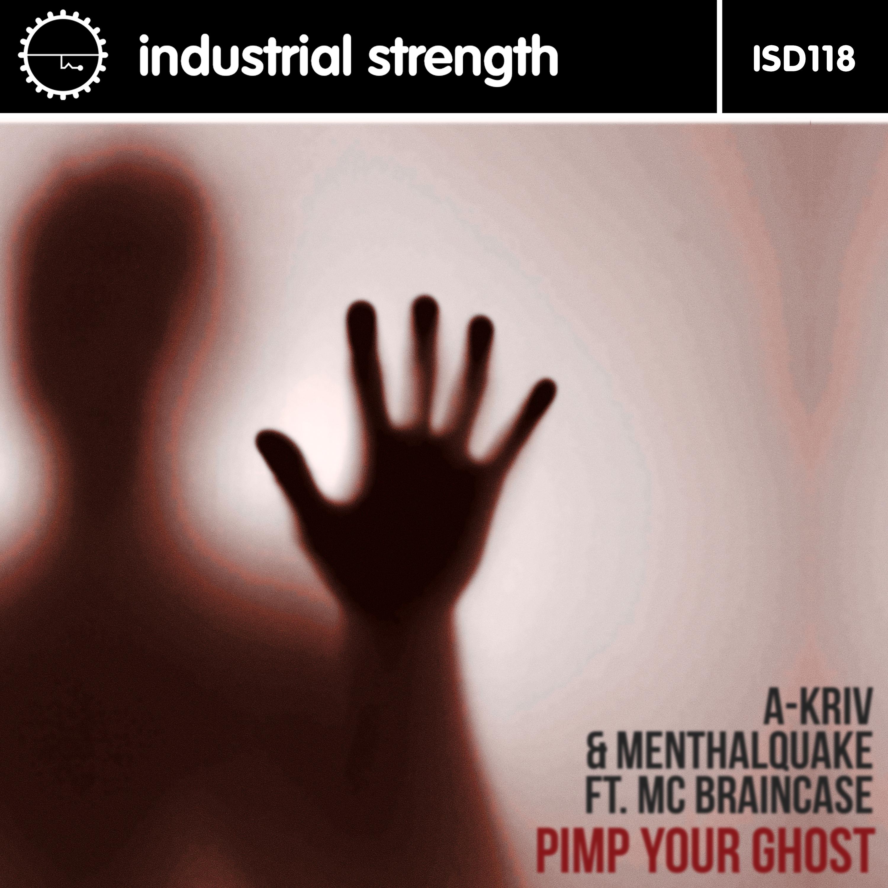 Постер альбома Pimp Your Ghost
