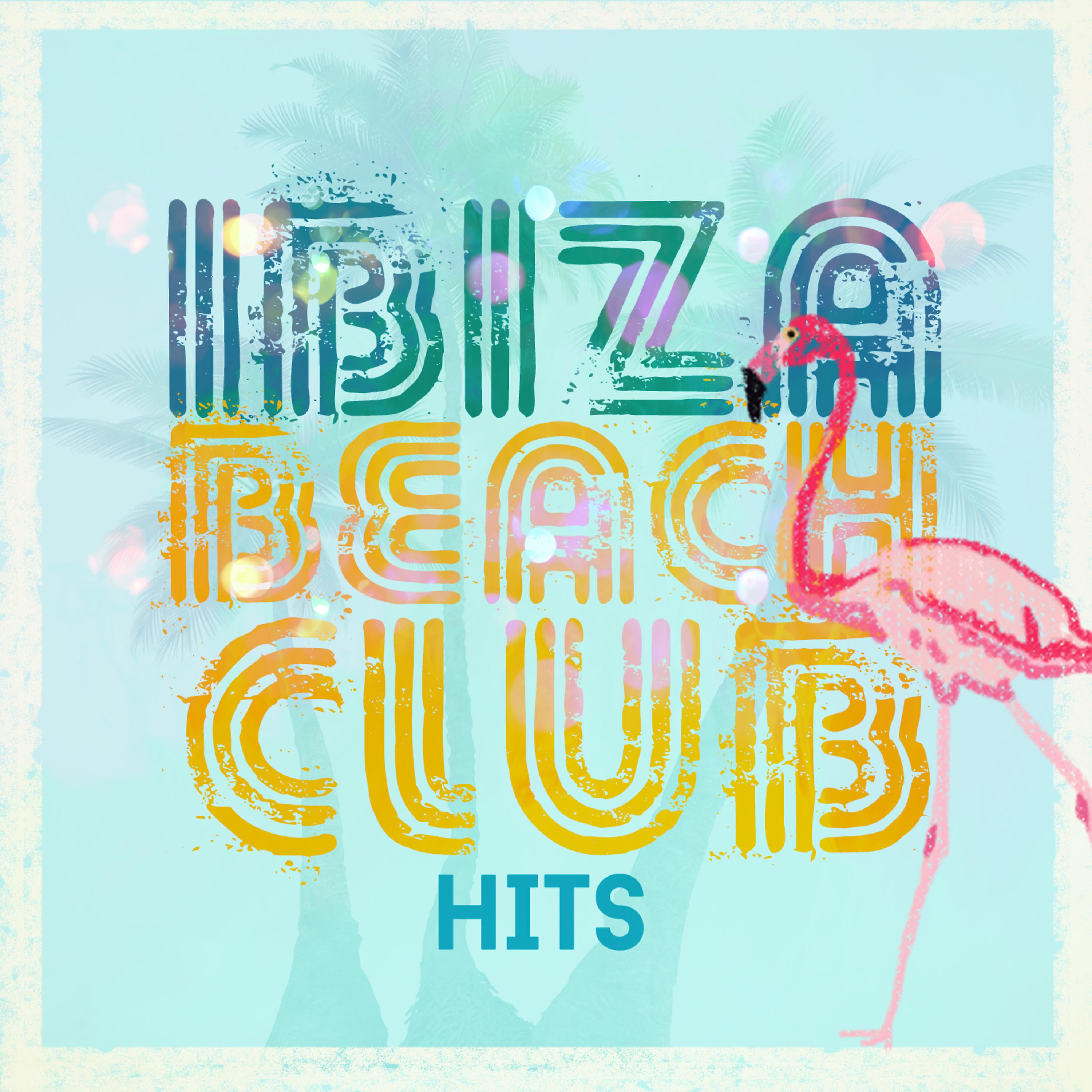 Постер альбома Ibiza Beach Club Hits